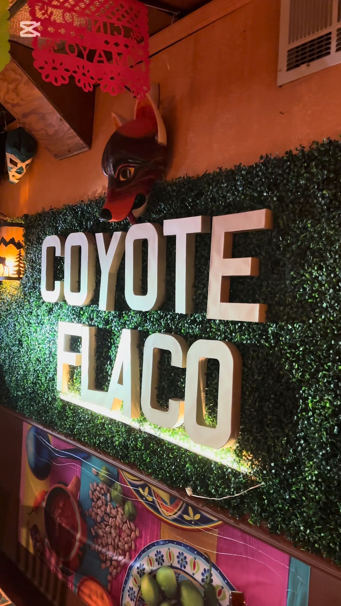 Coyote Flaco Hudson