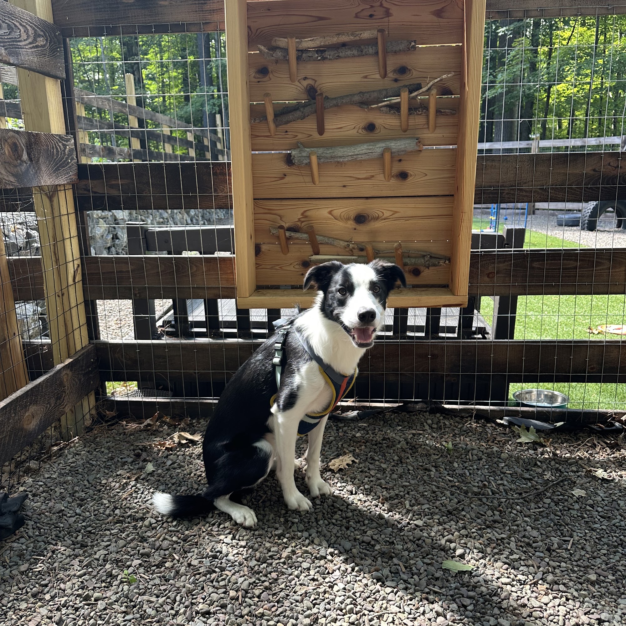 Hudson Veterinary Clinic Hudson