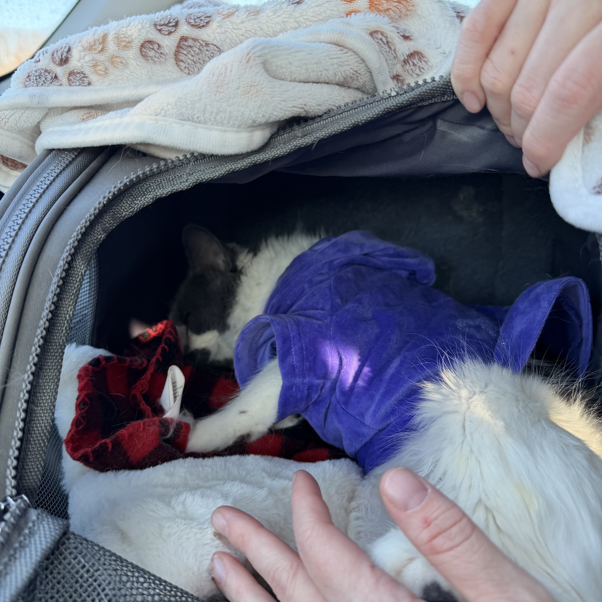 Animalkind Inc Hudson