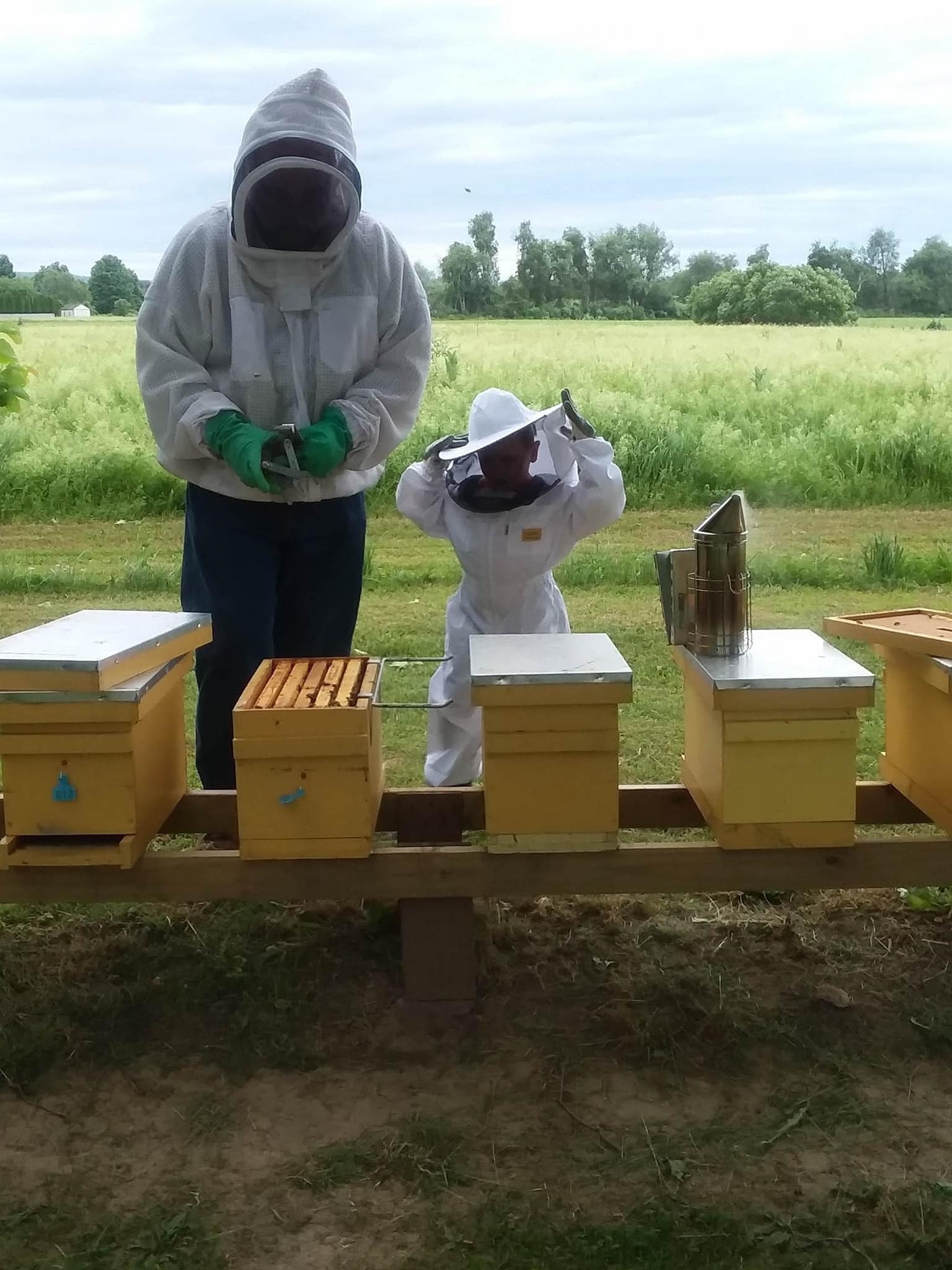 Grandaddy Weave’s Bees & Trees Hudson