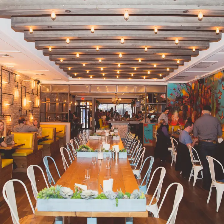 Photo credit: opentable