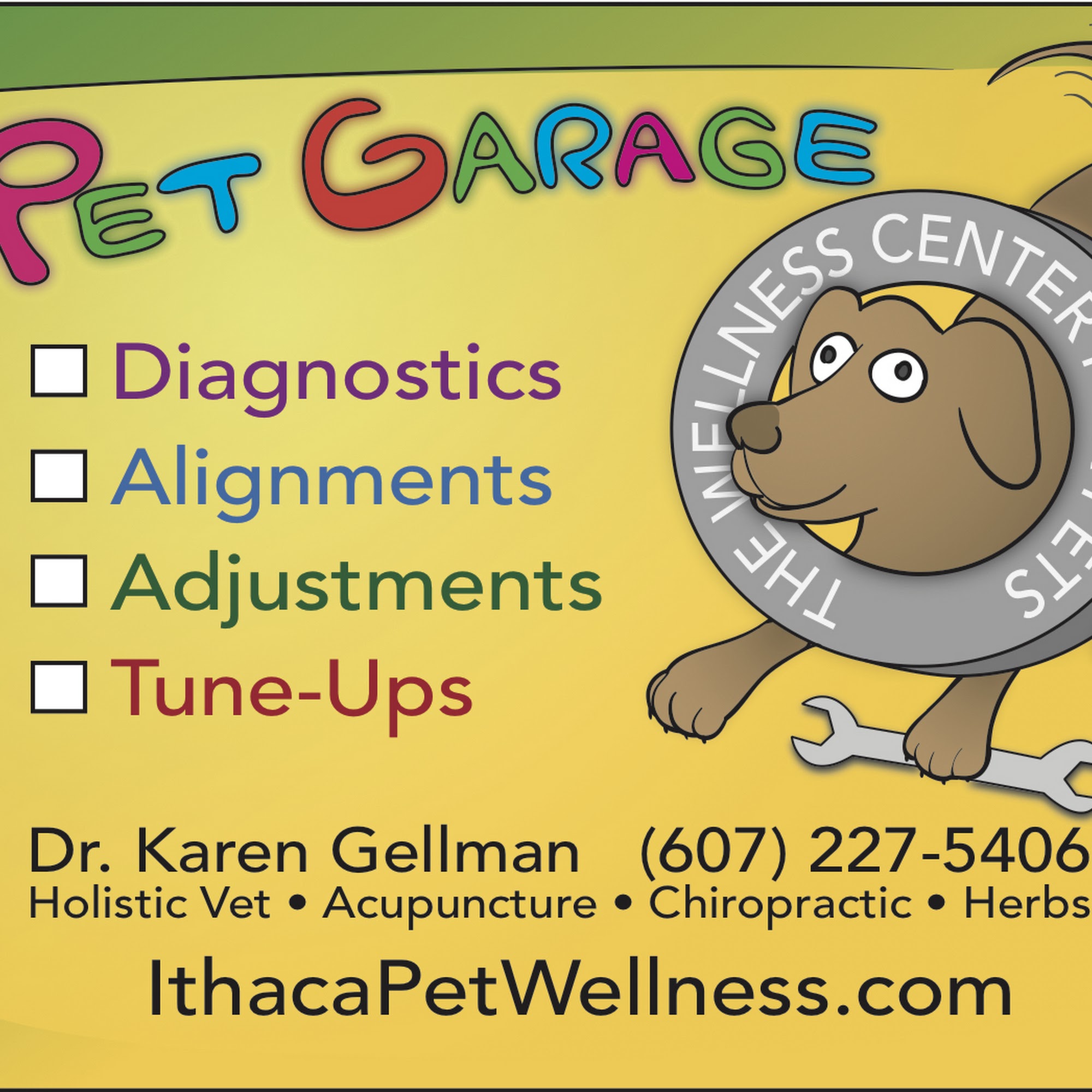 DVM Detective Ithaca