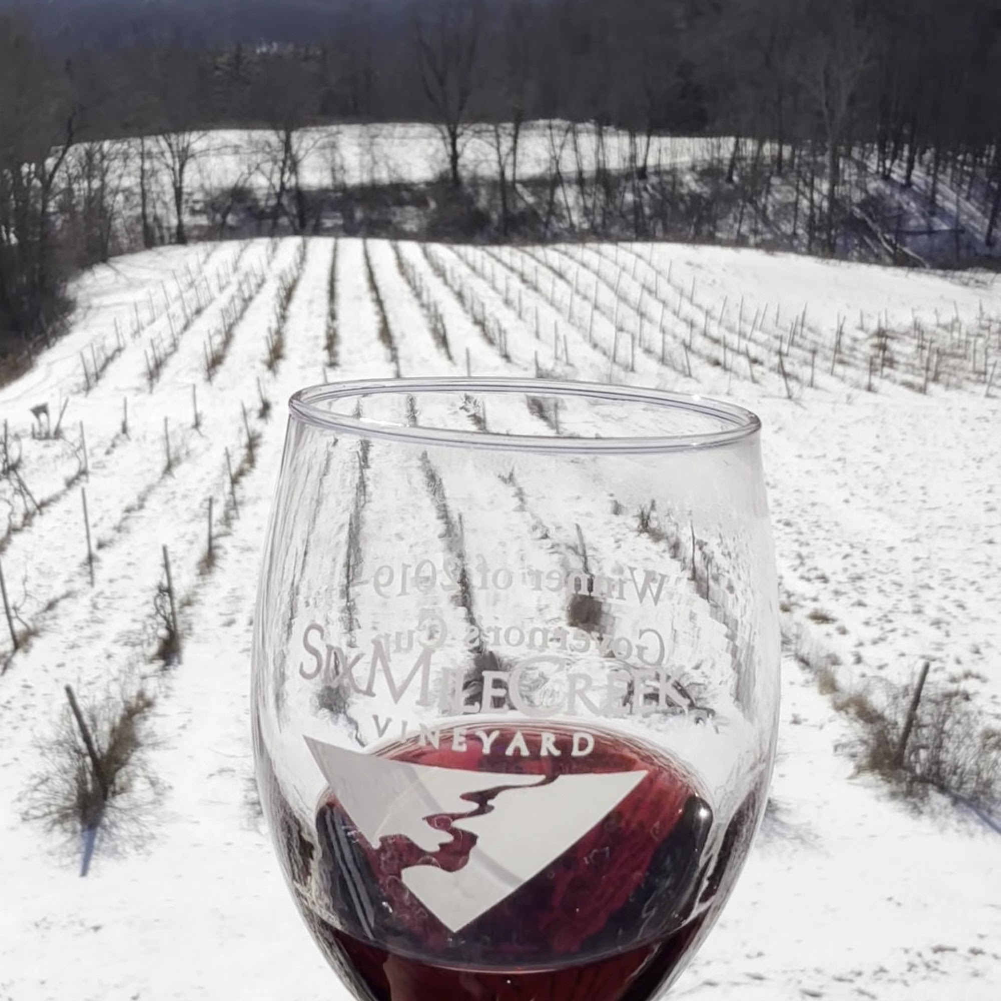 Six Mile Creek Vineyard Ithaca