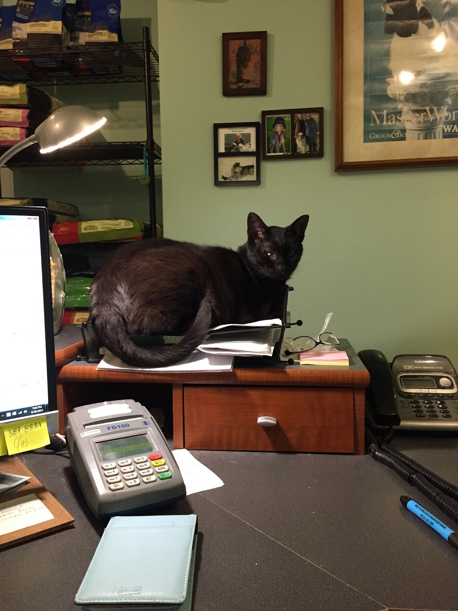 Bed and Biscuit of Ithaca - Country Club for Dogs and Cats Ithaca