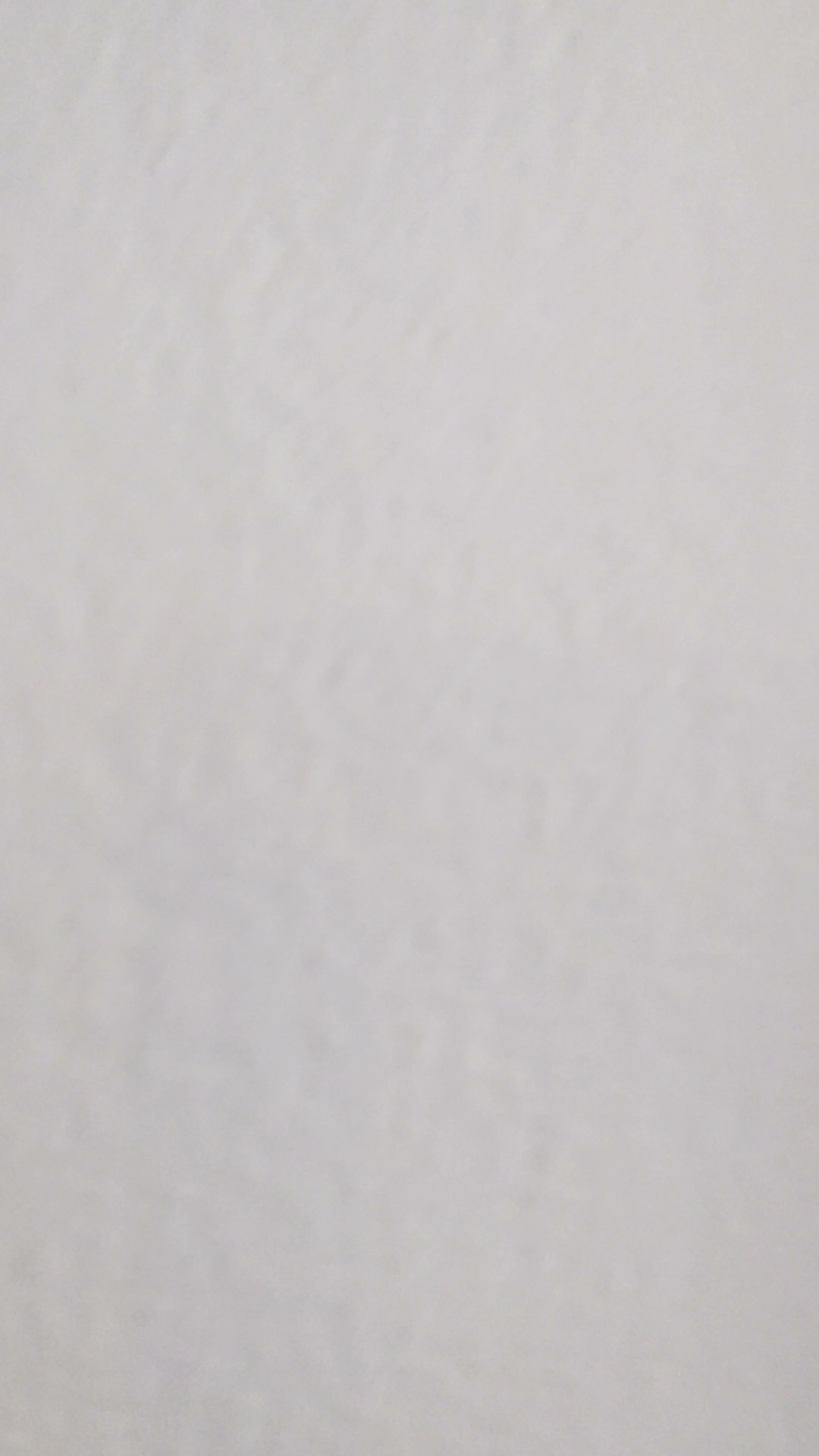 Botanist Coffeehouse Ithaca