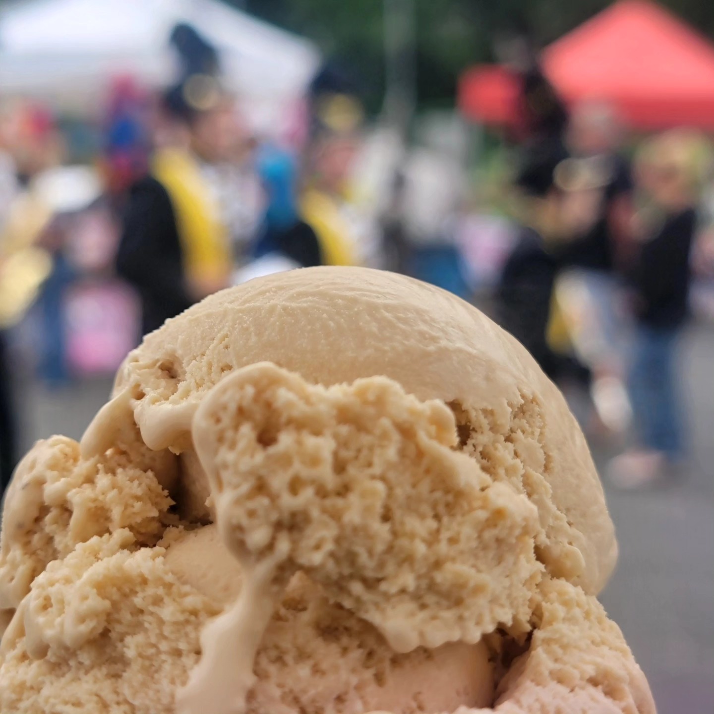 Cayuga Lake Creamery at The Dewitt Mall Ithaca