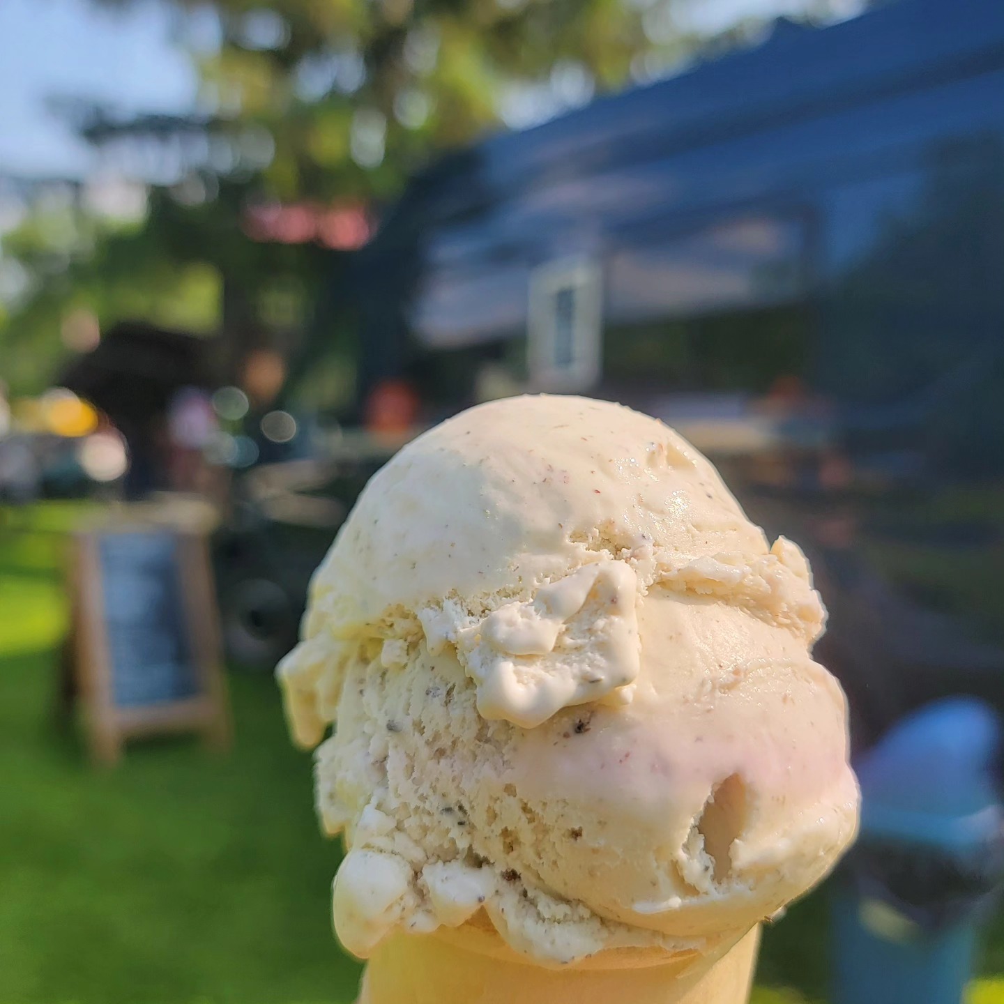 Cayuga Lake Creamery at The Dewitt Mall Ithaca