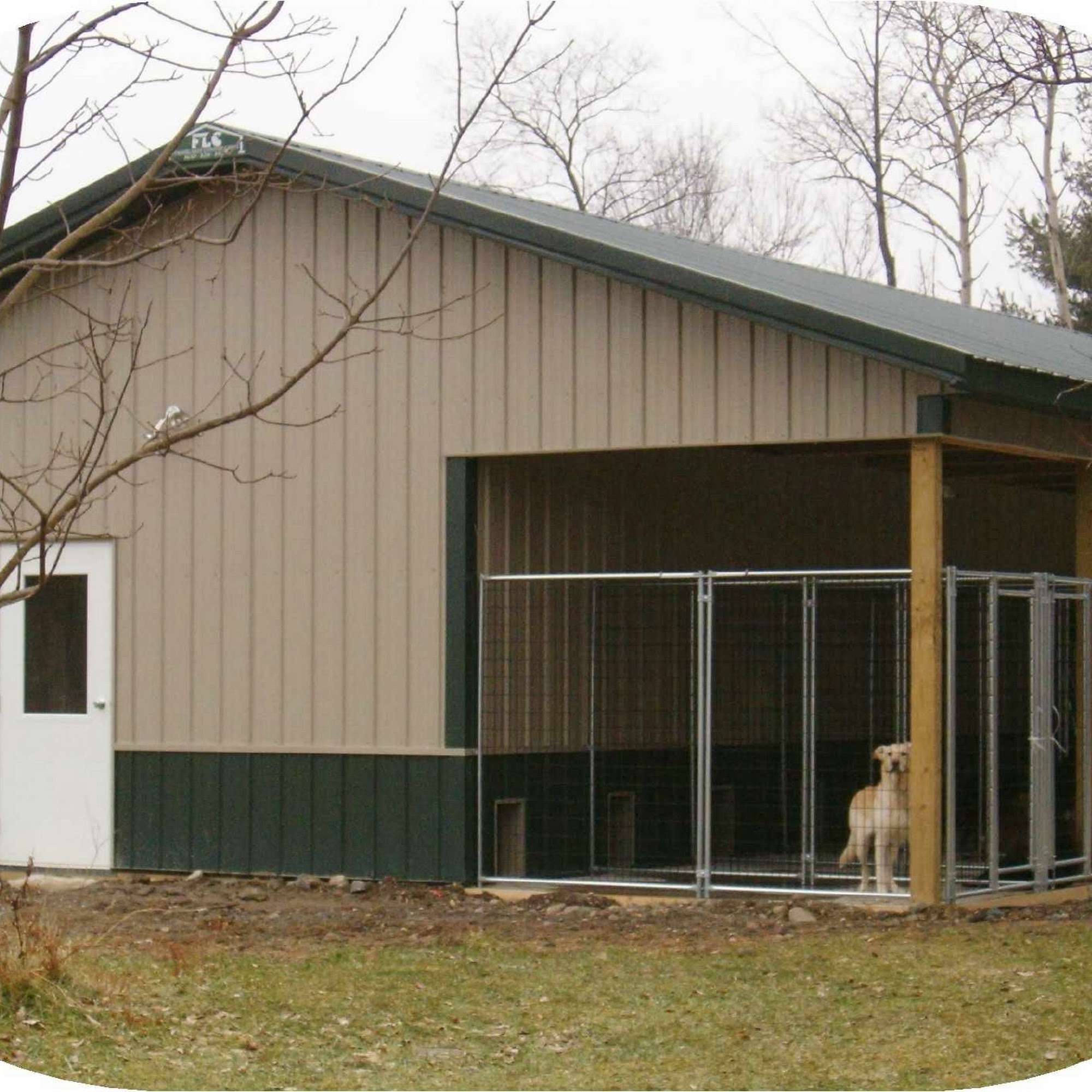 Almost Home Dog Boarding Ithaca