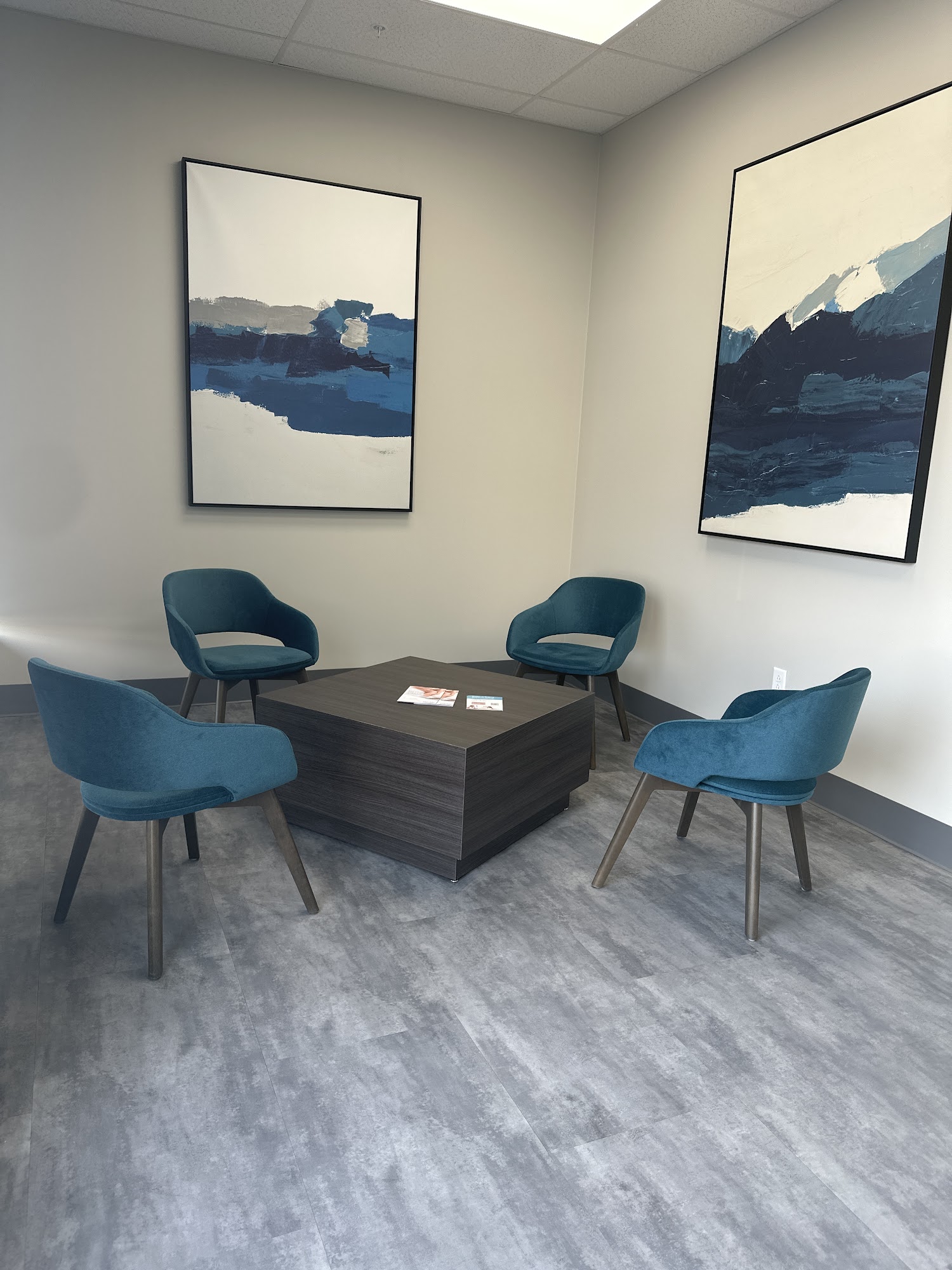 Milan Laser Hair Removal 722 S Meadow St Suite 700, Ithaca New York 14850