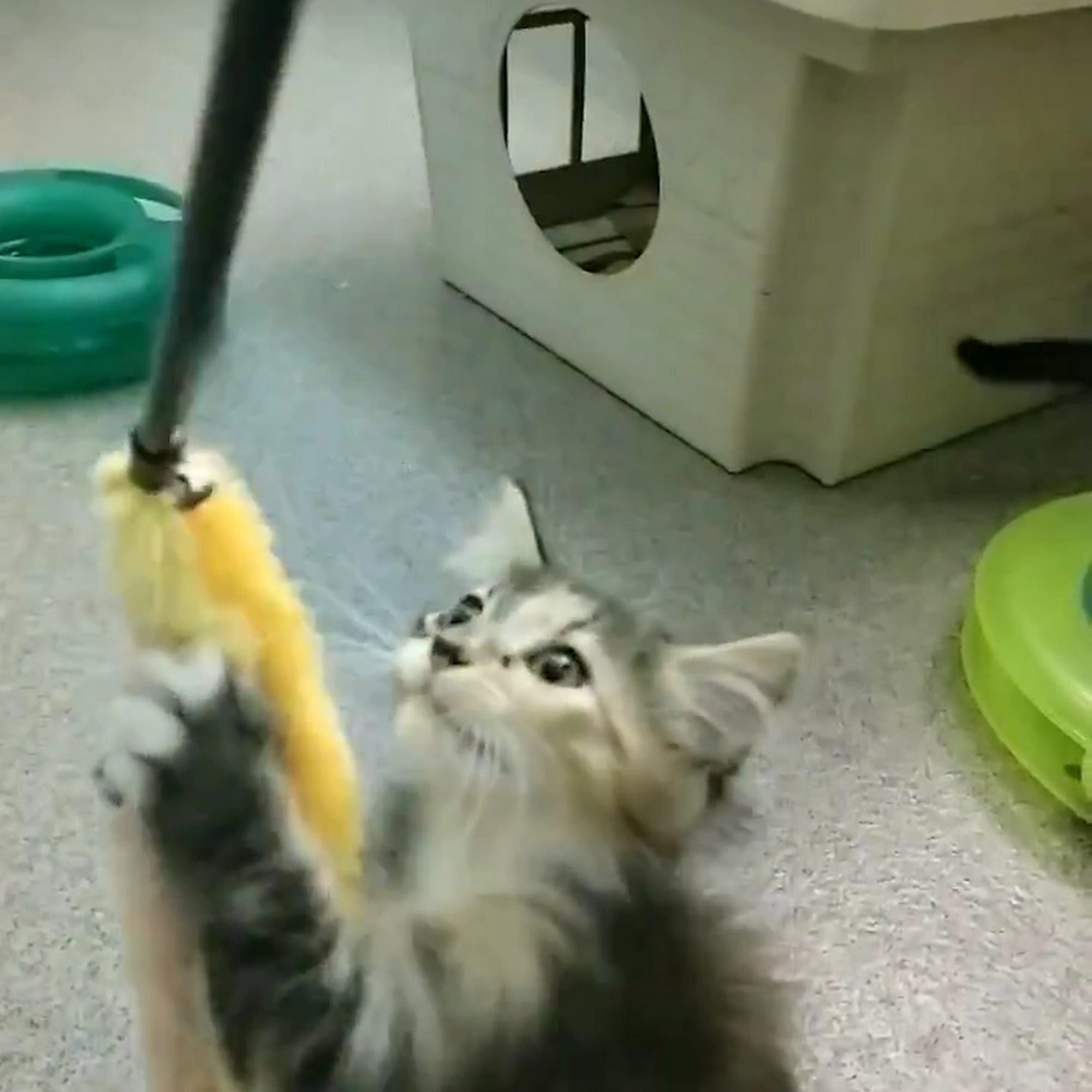 Chqhumane.org Jamestown