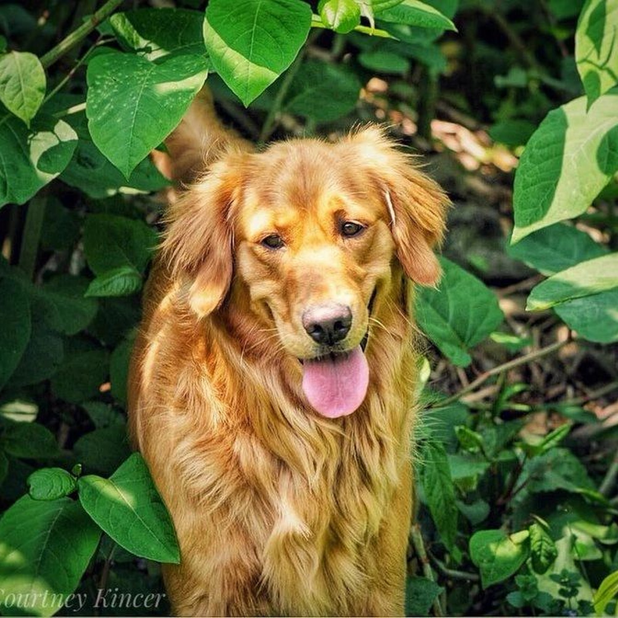 Barley & Bud Johnson City