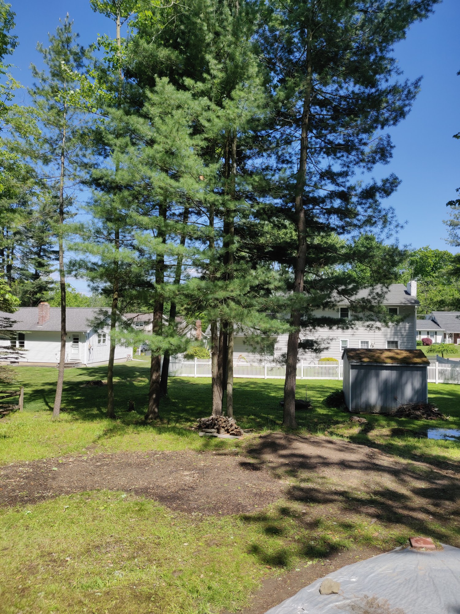 Woodland Tree Services