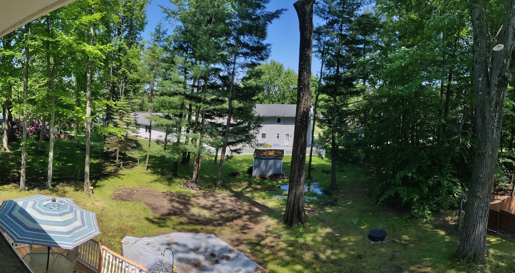 Woodland Tree Services