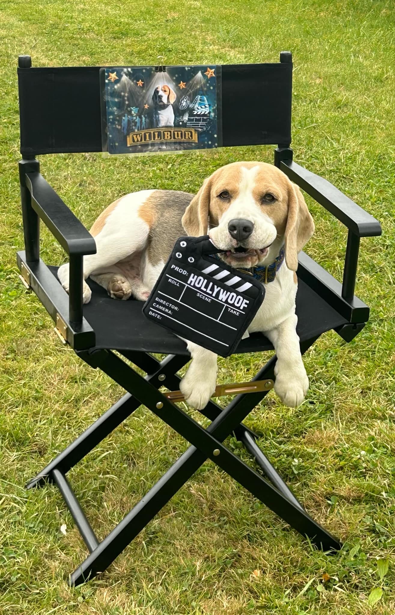 Stone Meadow Kennel Johnson City