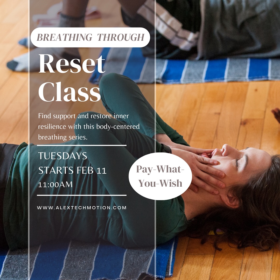 Alexander Technique Institute