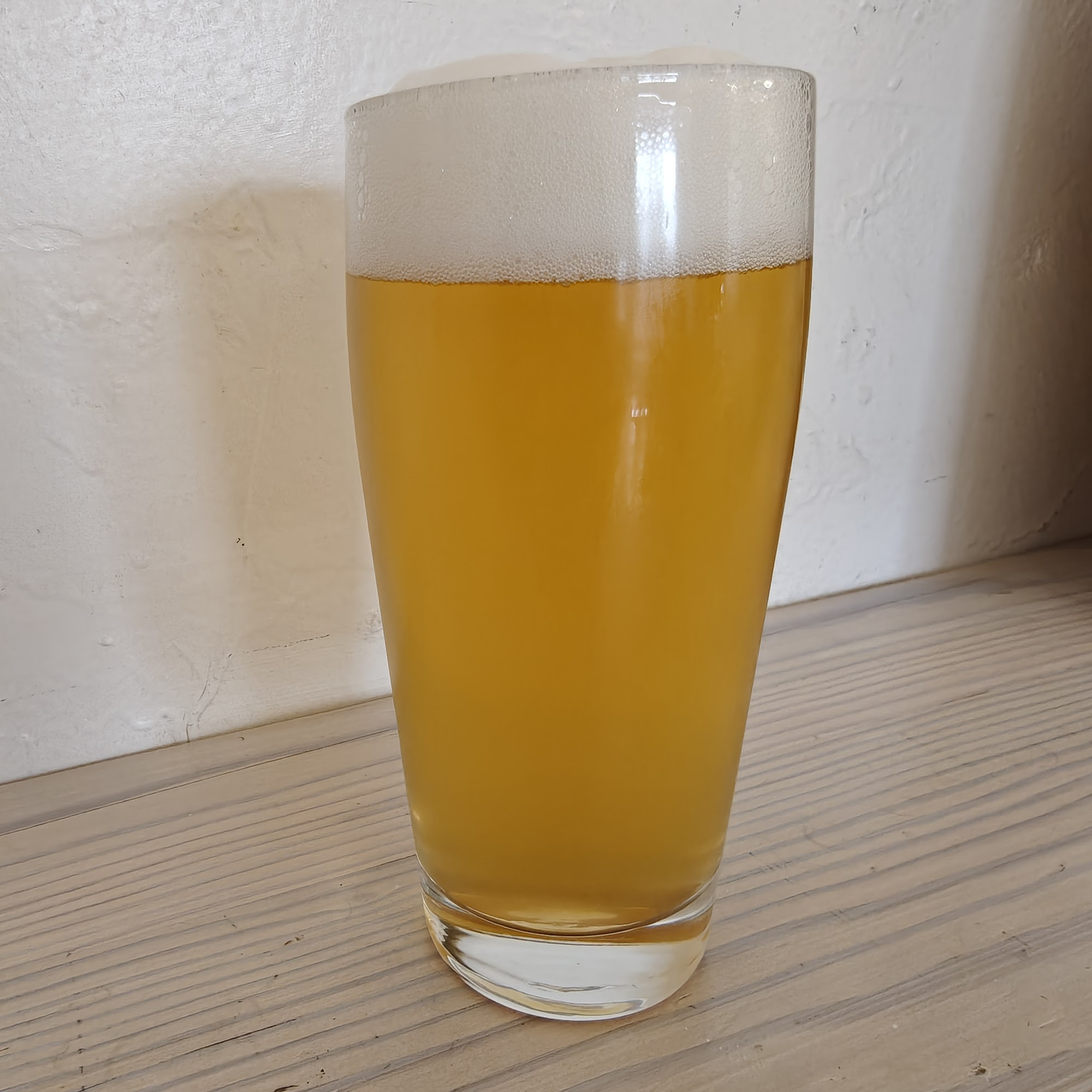 Kingston Standard Brewing Co. Kingston