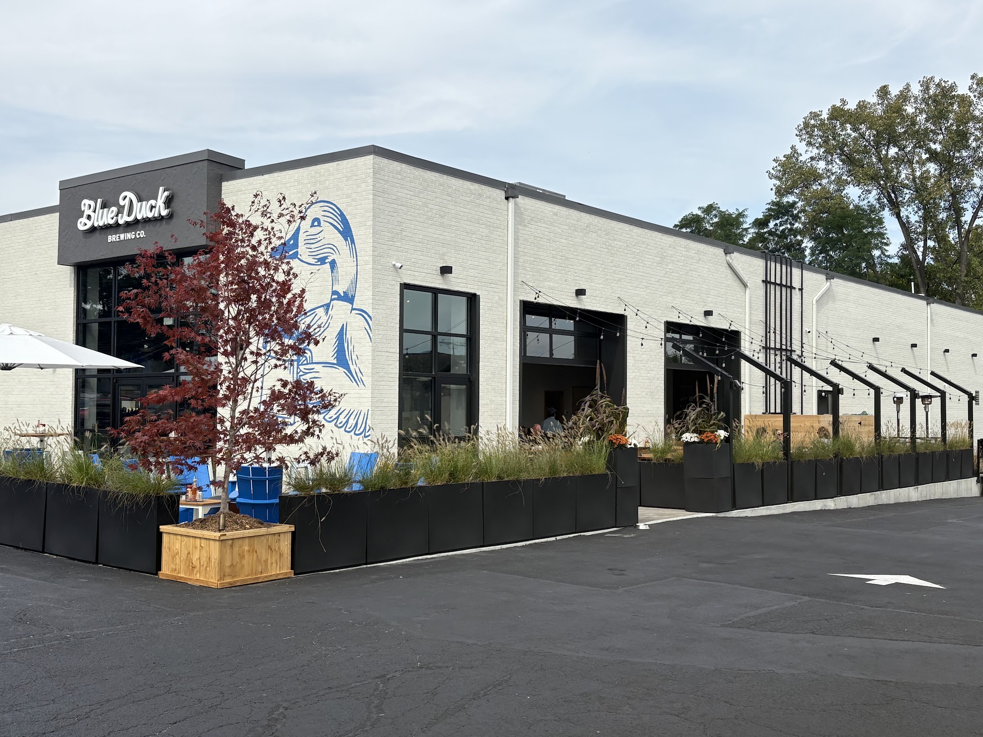 Blue Duck Brewing Company 79 Hurley Ave, Kingston