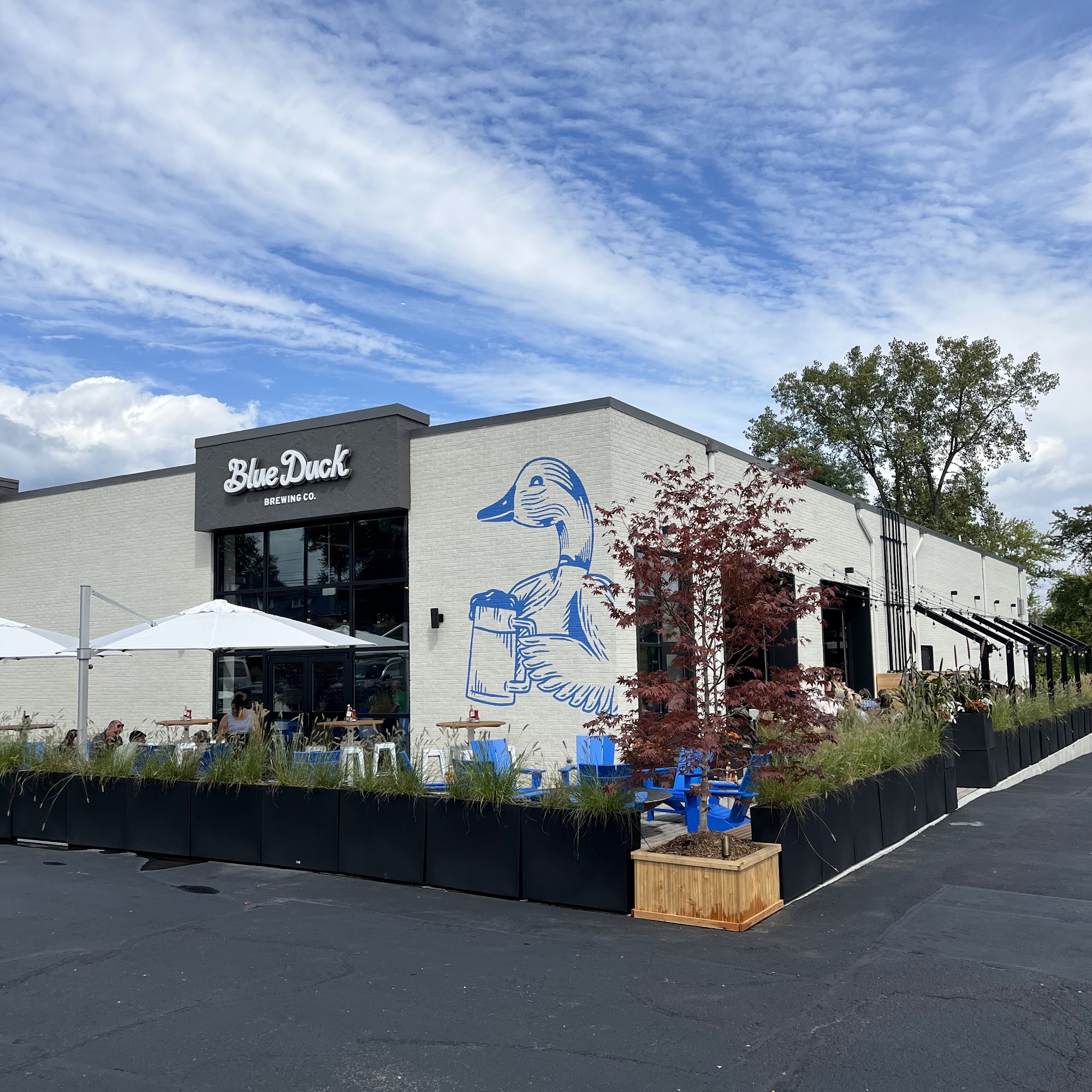 Blue Duck Brewing Company