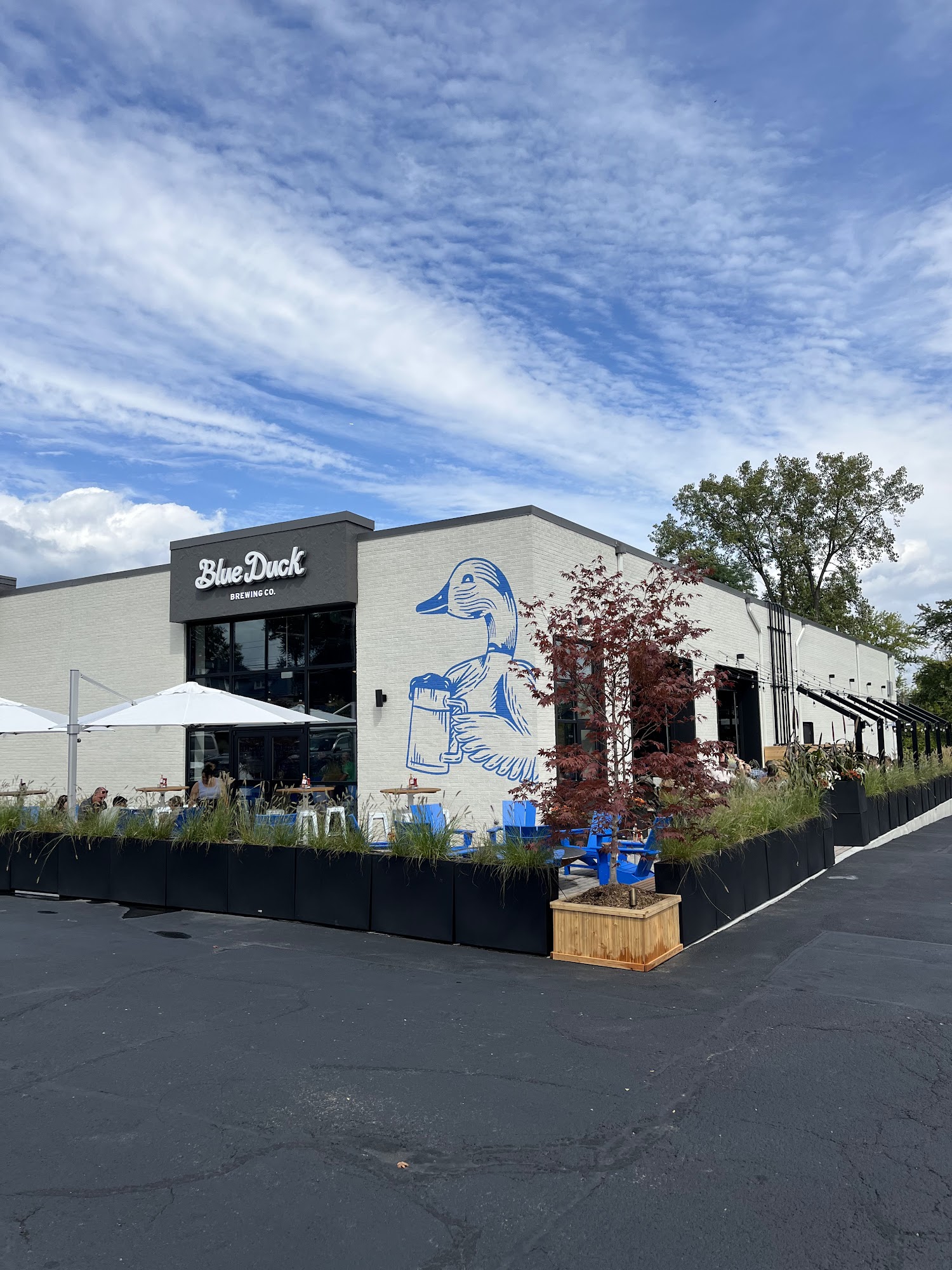 Blue Duck Brewing Company Menu