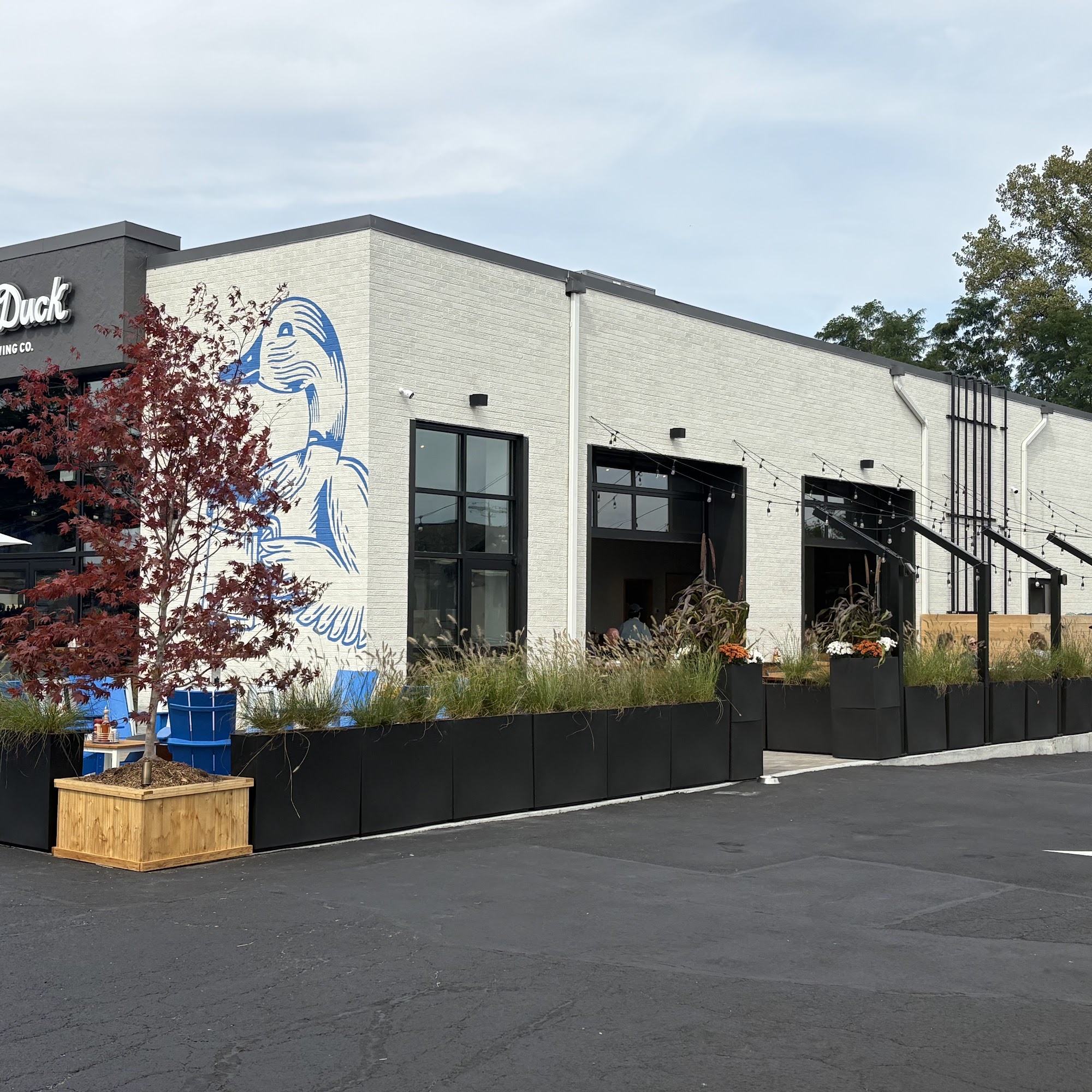 Blue Duck Brewing Company 79 Hurley Ave, Kingston