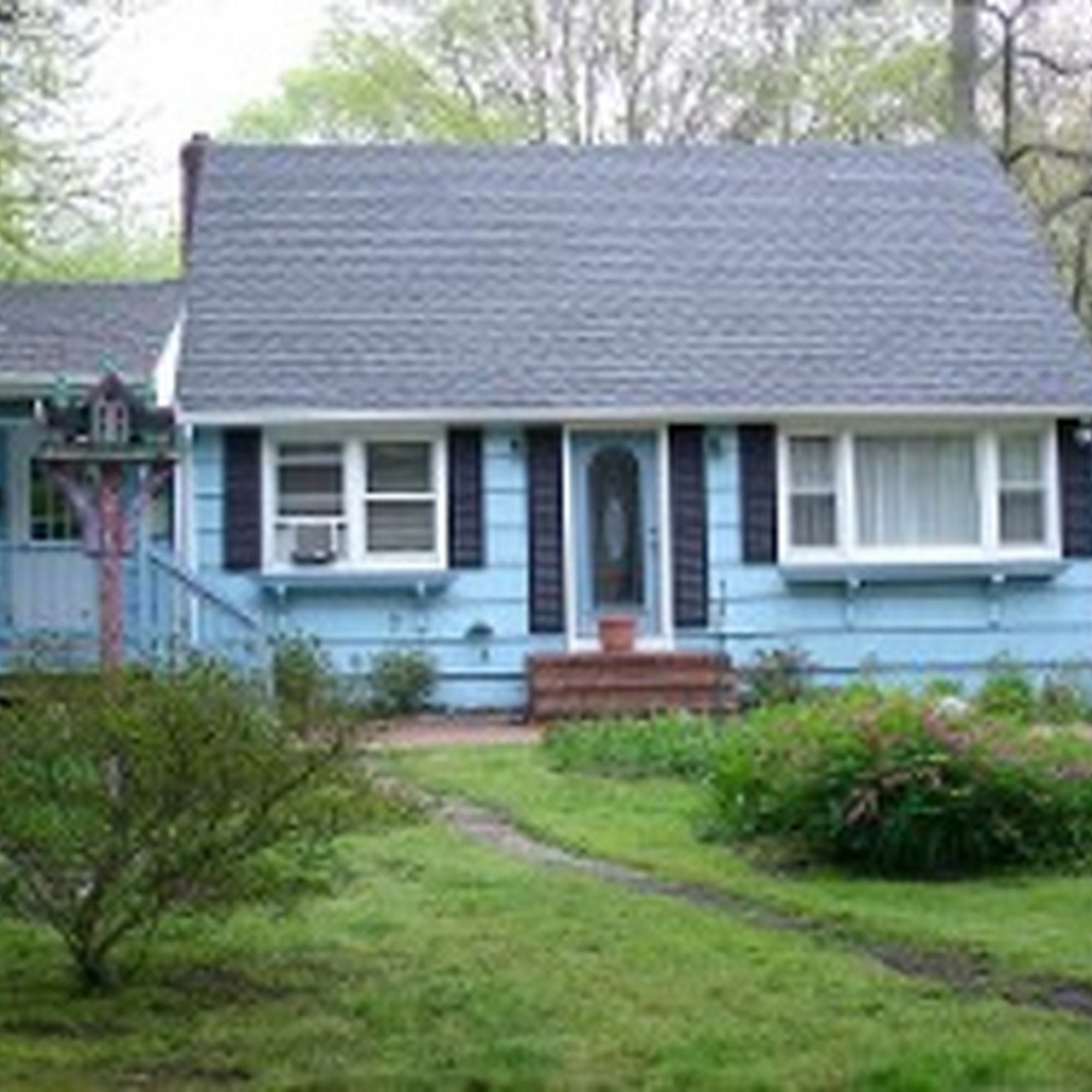 Fitzgerald Veterinary Lake Grove