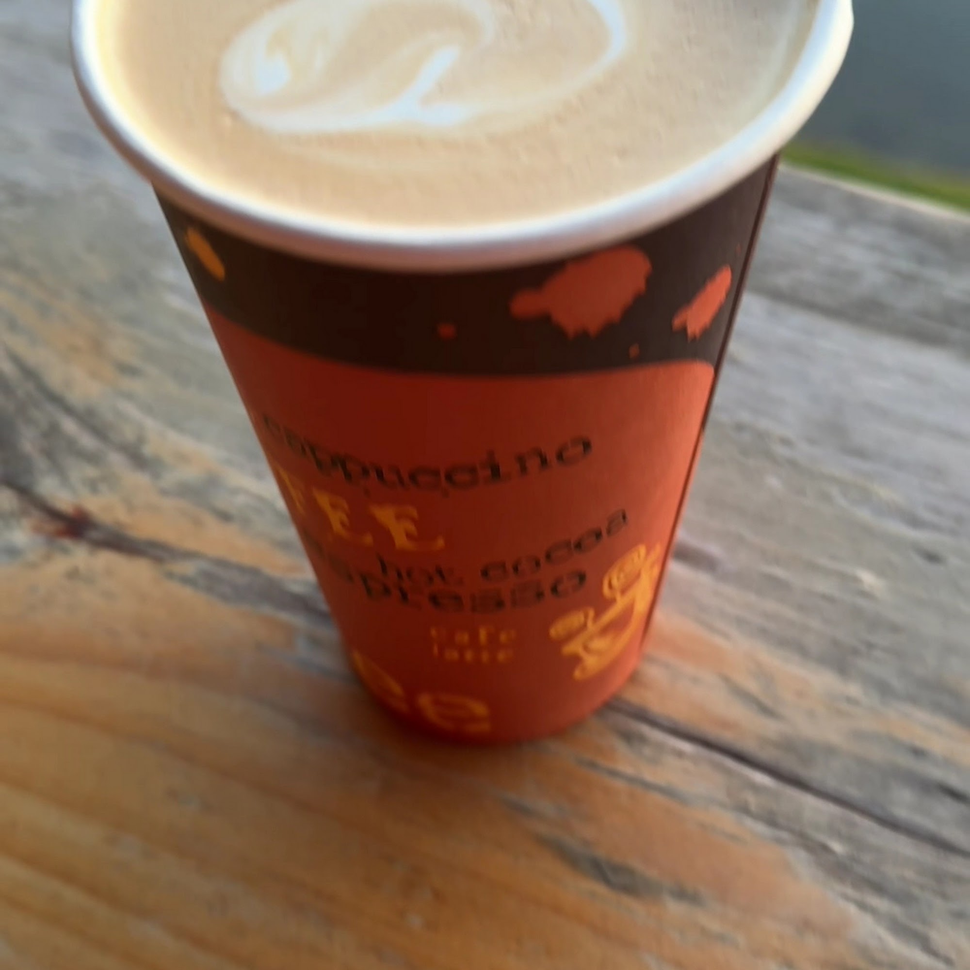 The Coffee Bar Lake Placid