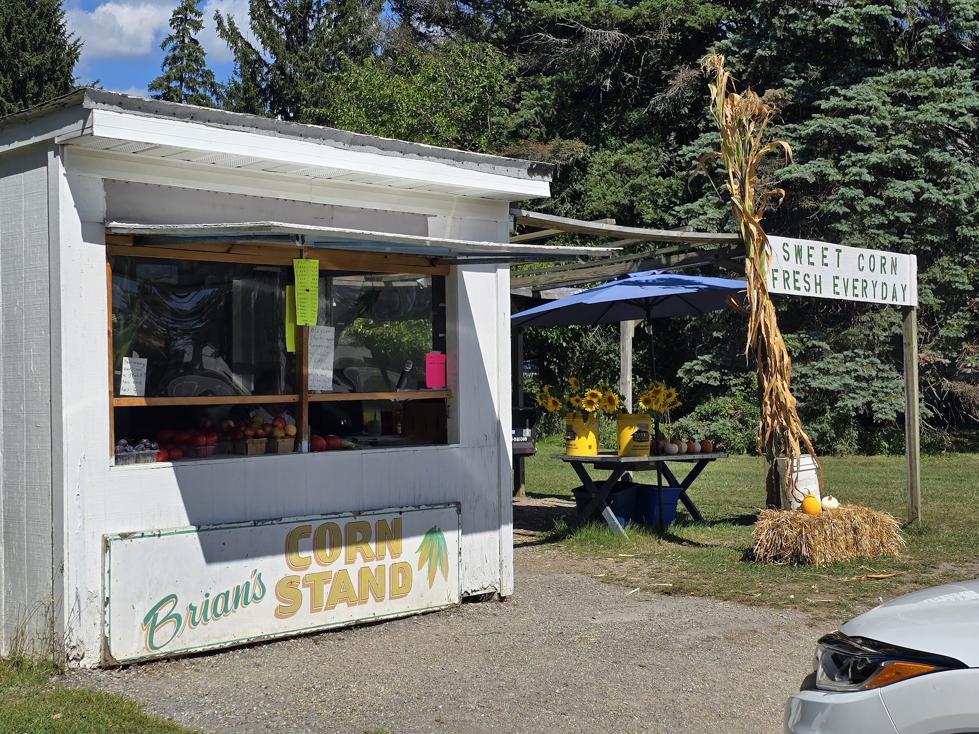 Awesome Corn Stand