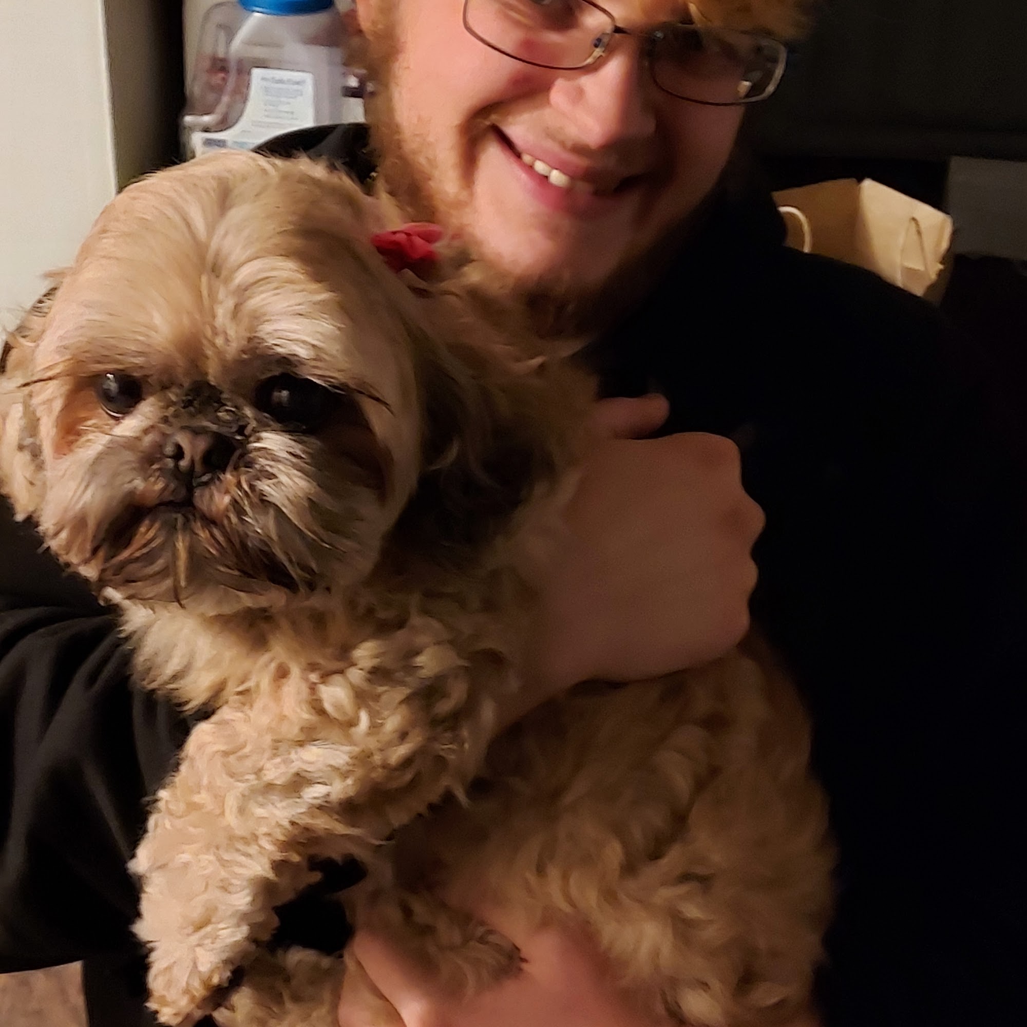 House of Dogs Latham