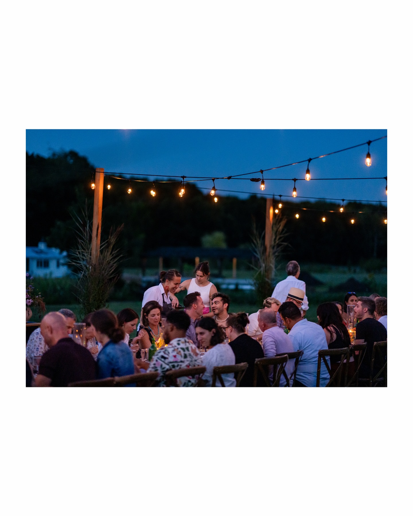 Forts Ferry Farm Latham