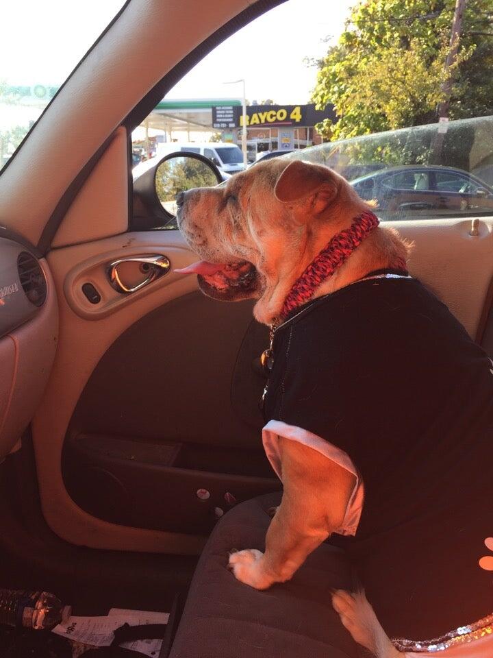 Photo credit: nextdoor