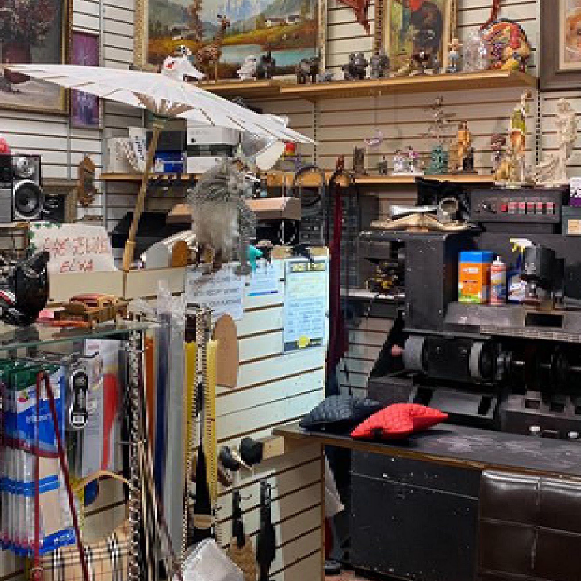Shoellywood shoe repair 3041 Hempstead Tpke, Levittown New York 11756