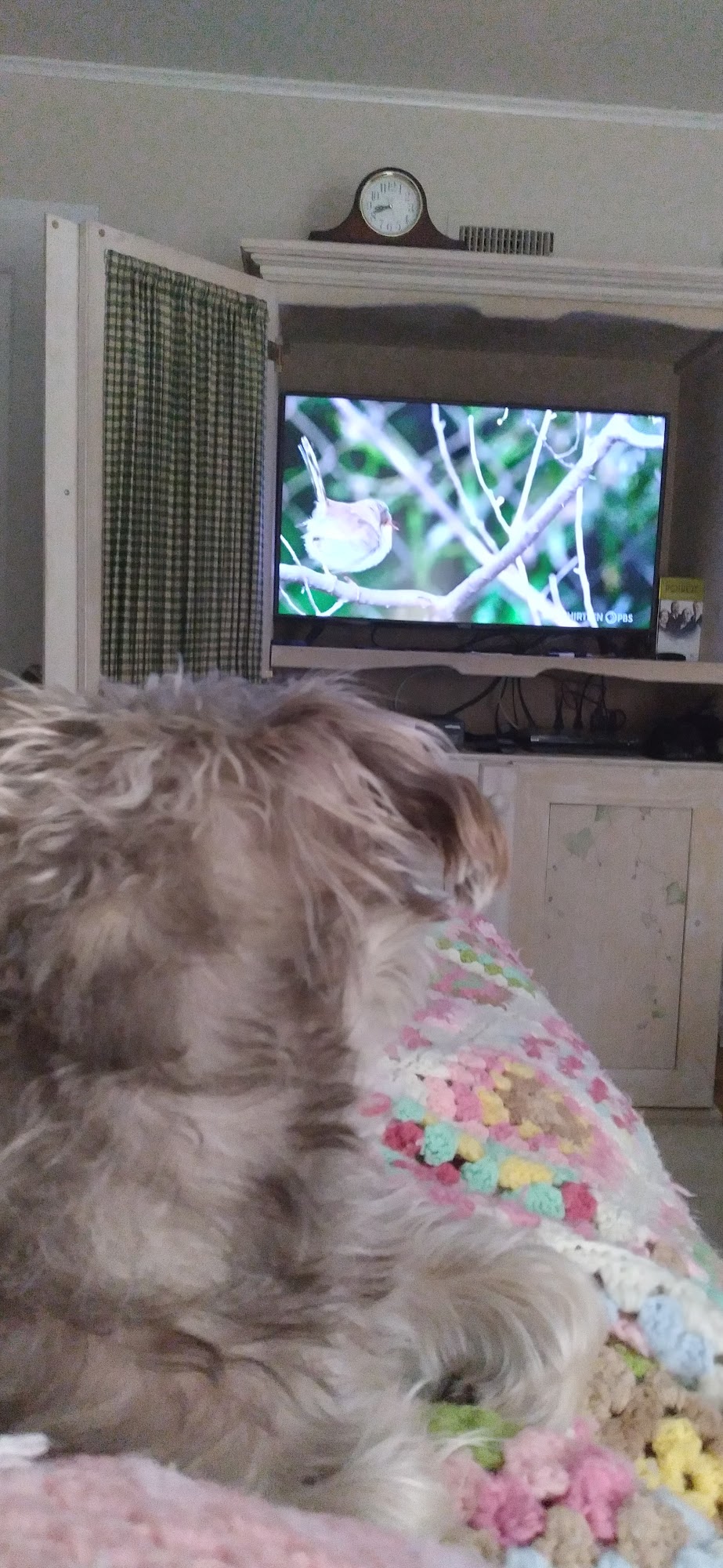 Lindenhurst Bay Dental PC