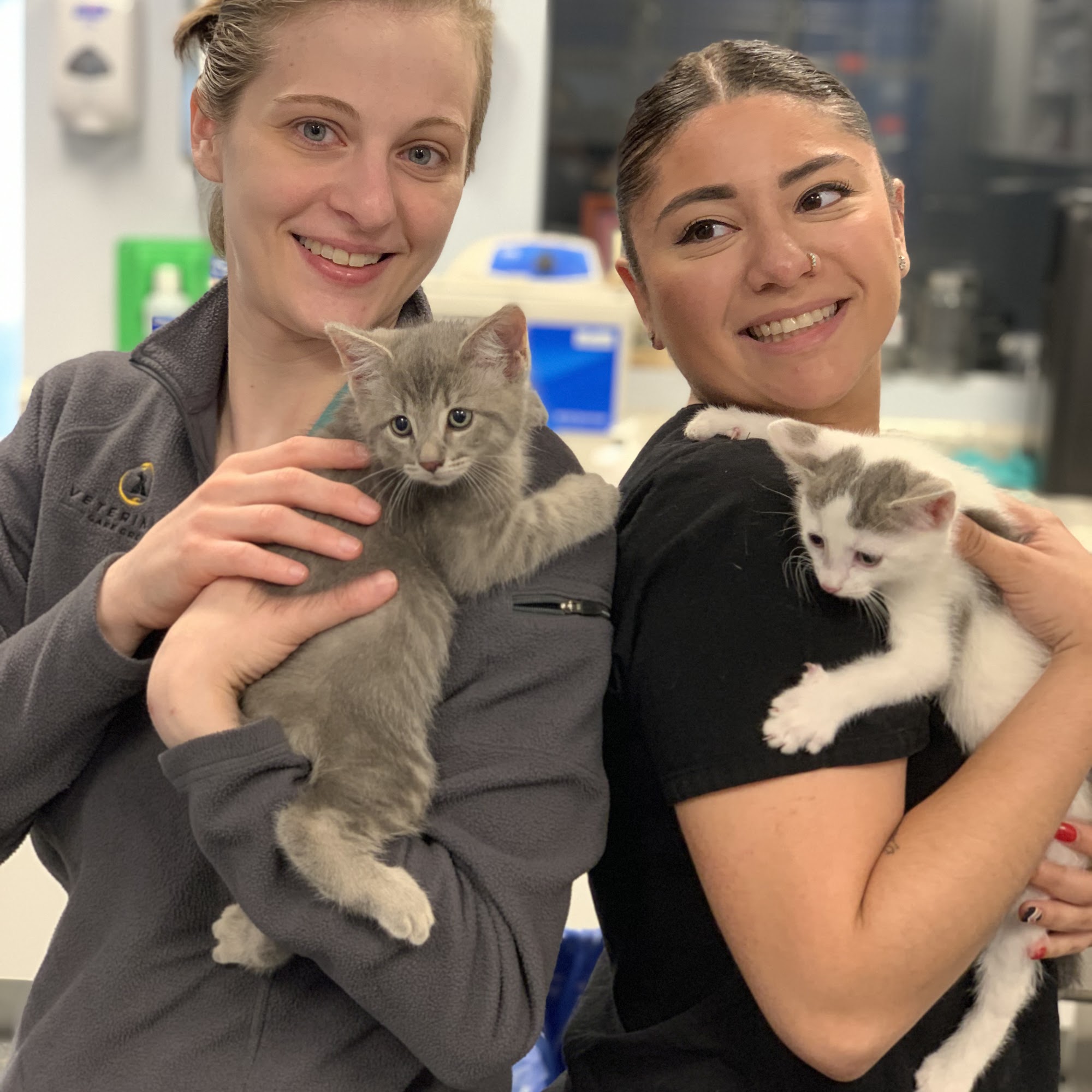 Veterinary Care Group - Little Neck Little Neck