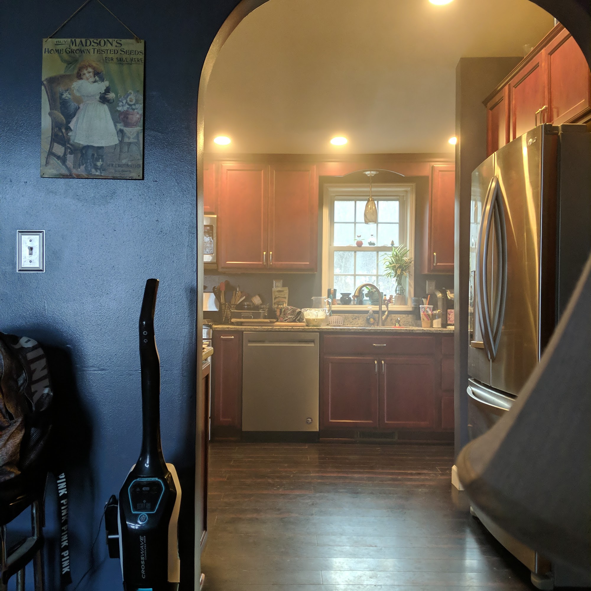 Wag n Wash pet grooming Livonia ny Livonia