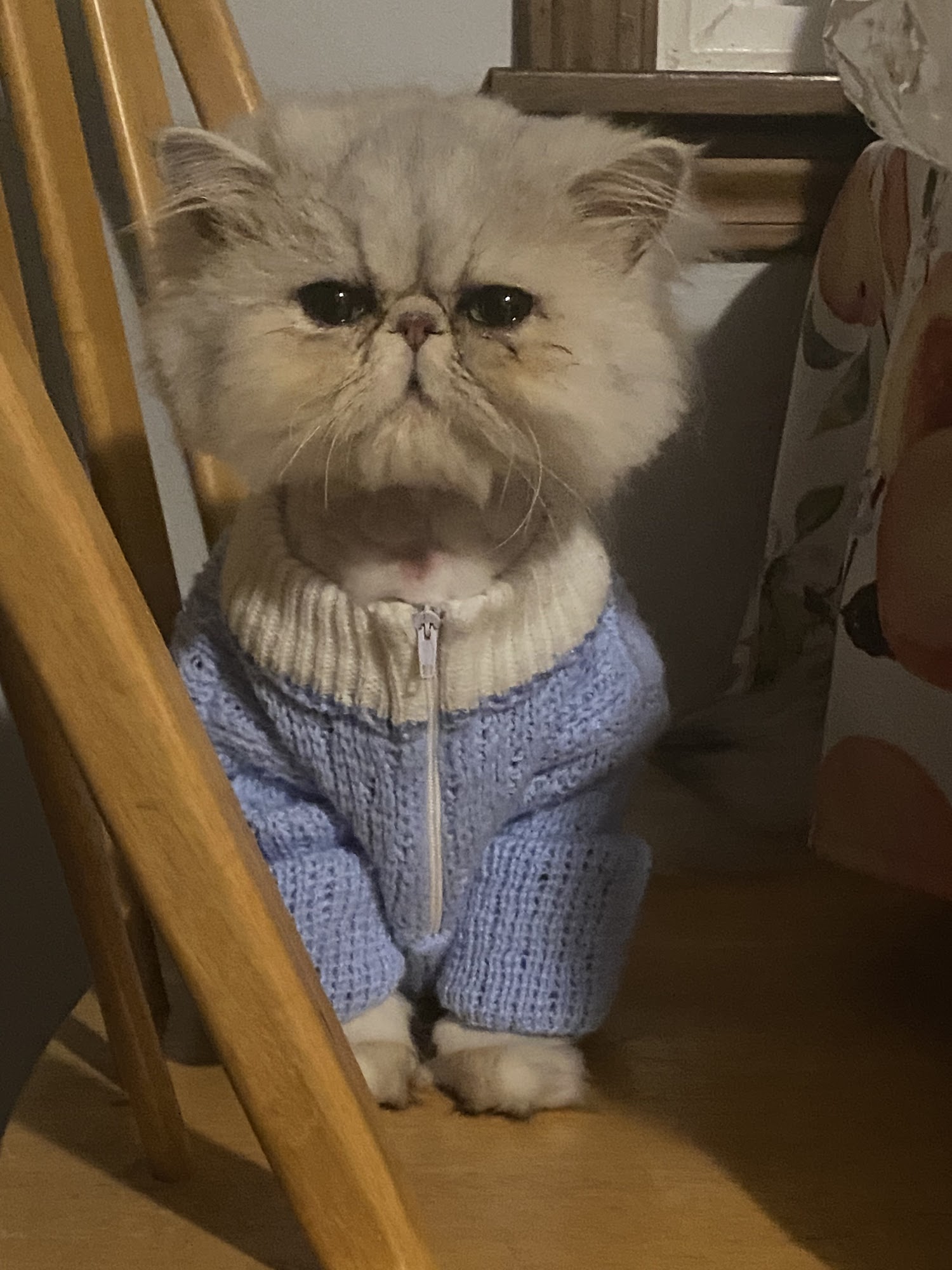 Cornerstone Veterinary Clinic Lockport