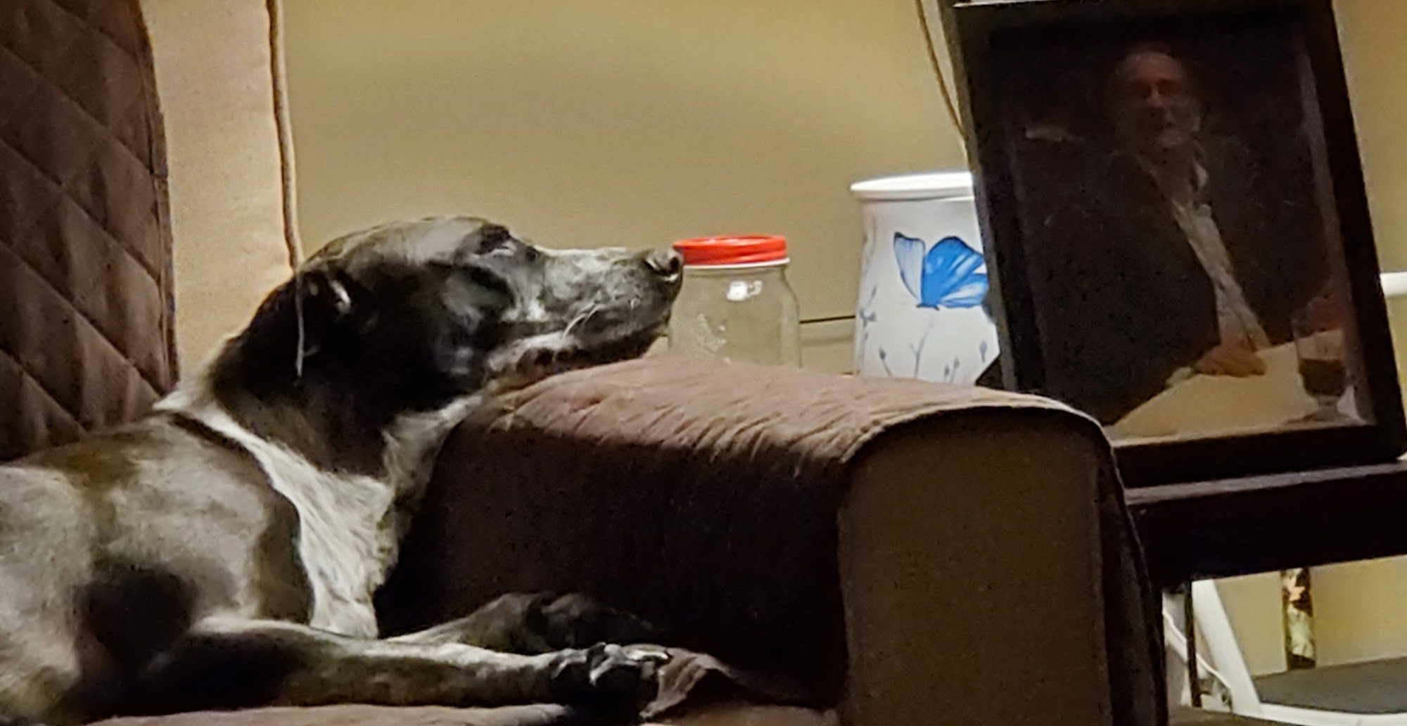 Wright's Corners Animal Care Center Lockport