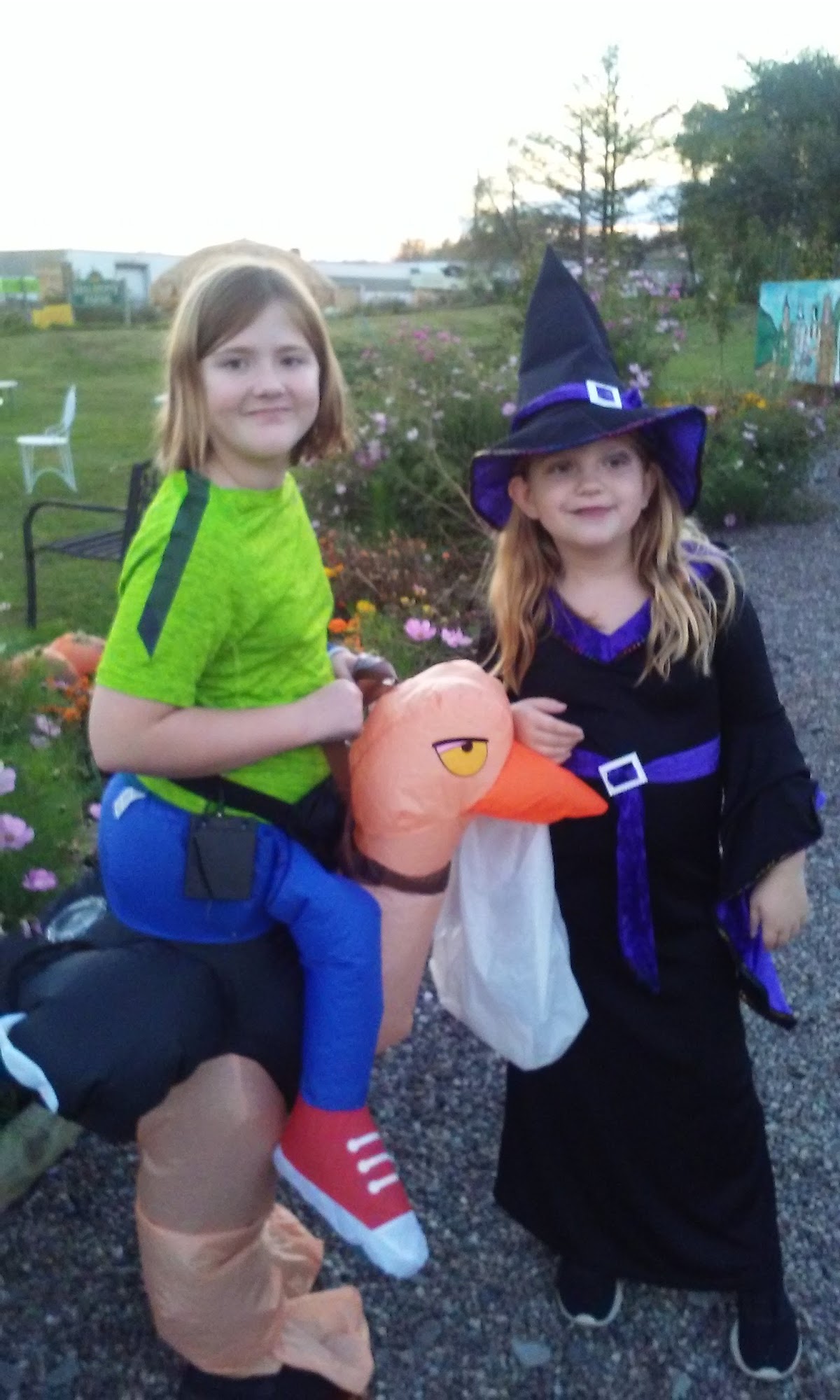 Halmony Farms Lockport