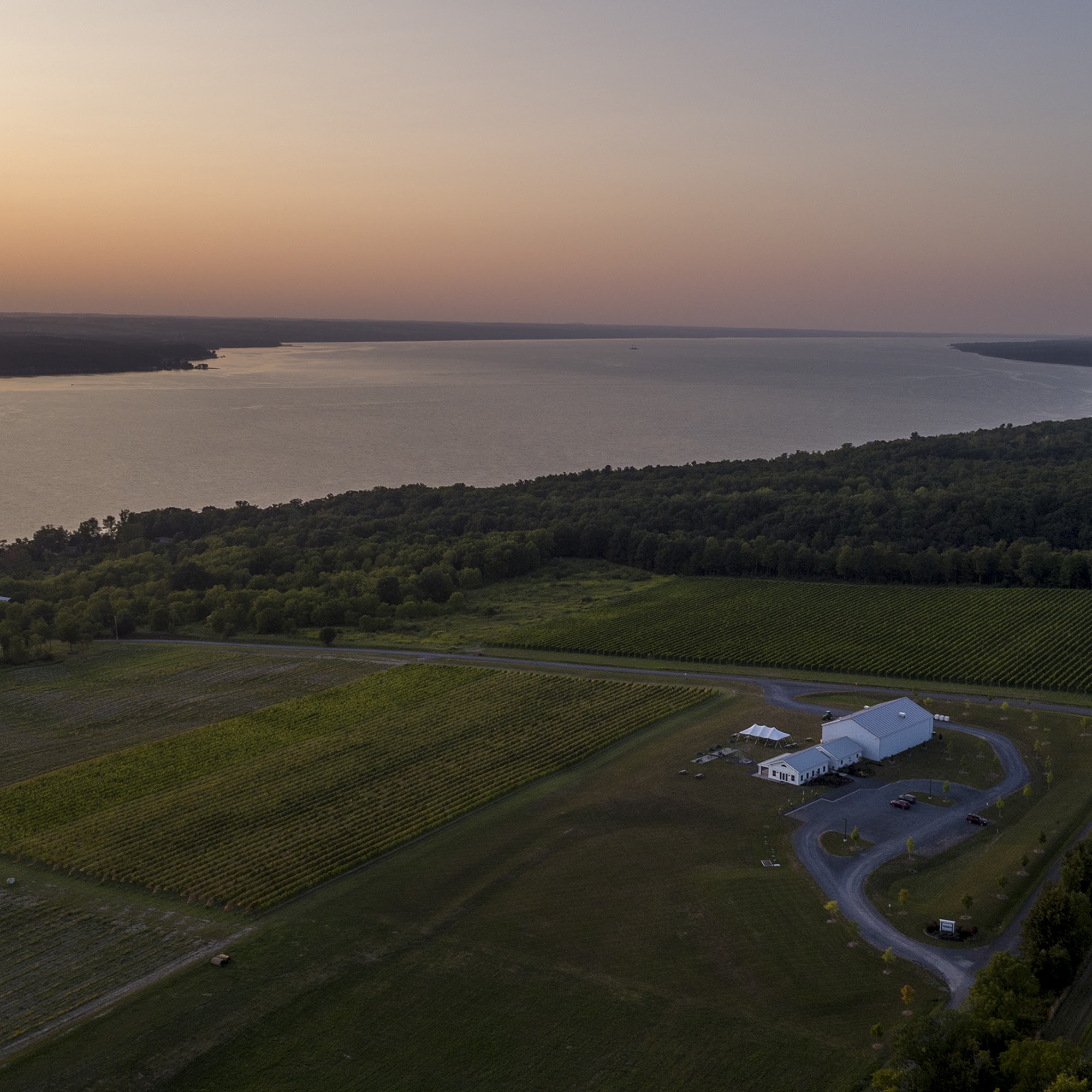 Boundary Breaks Vineyard Lodi