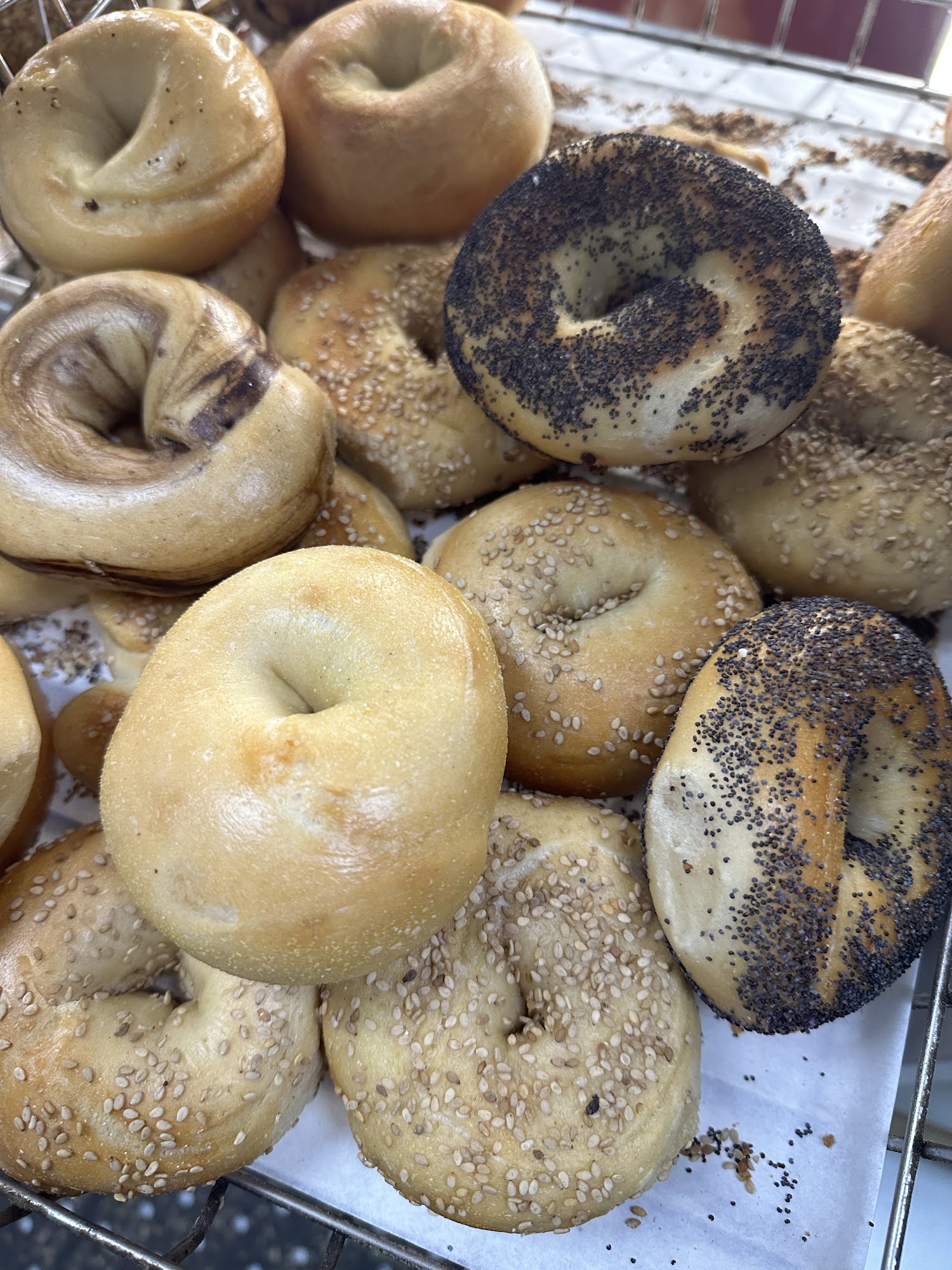 Lifes A Bagel Long Beach