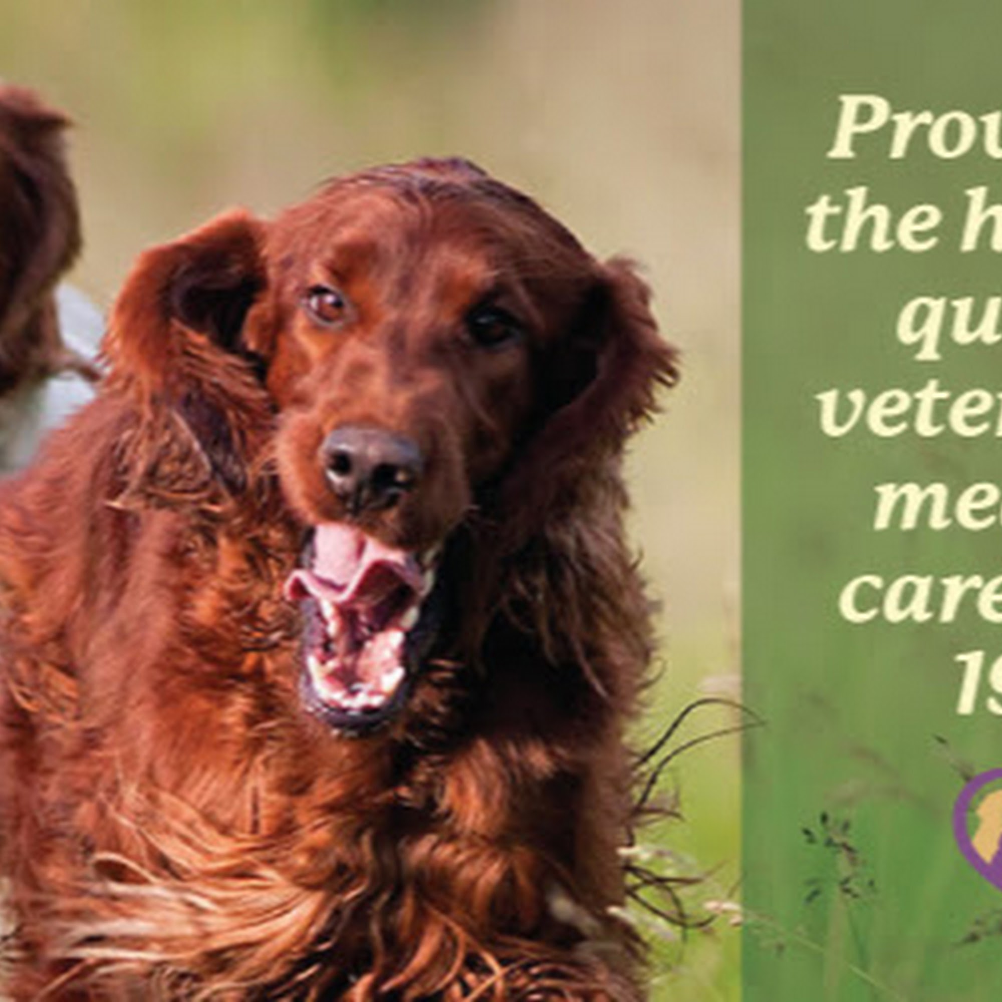 Mahopac Animal Hospital Mahopac