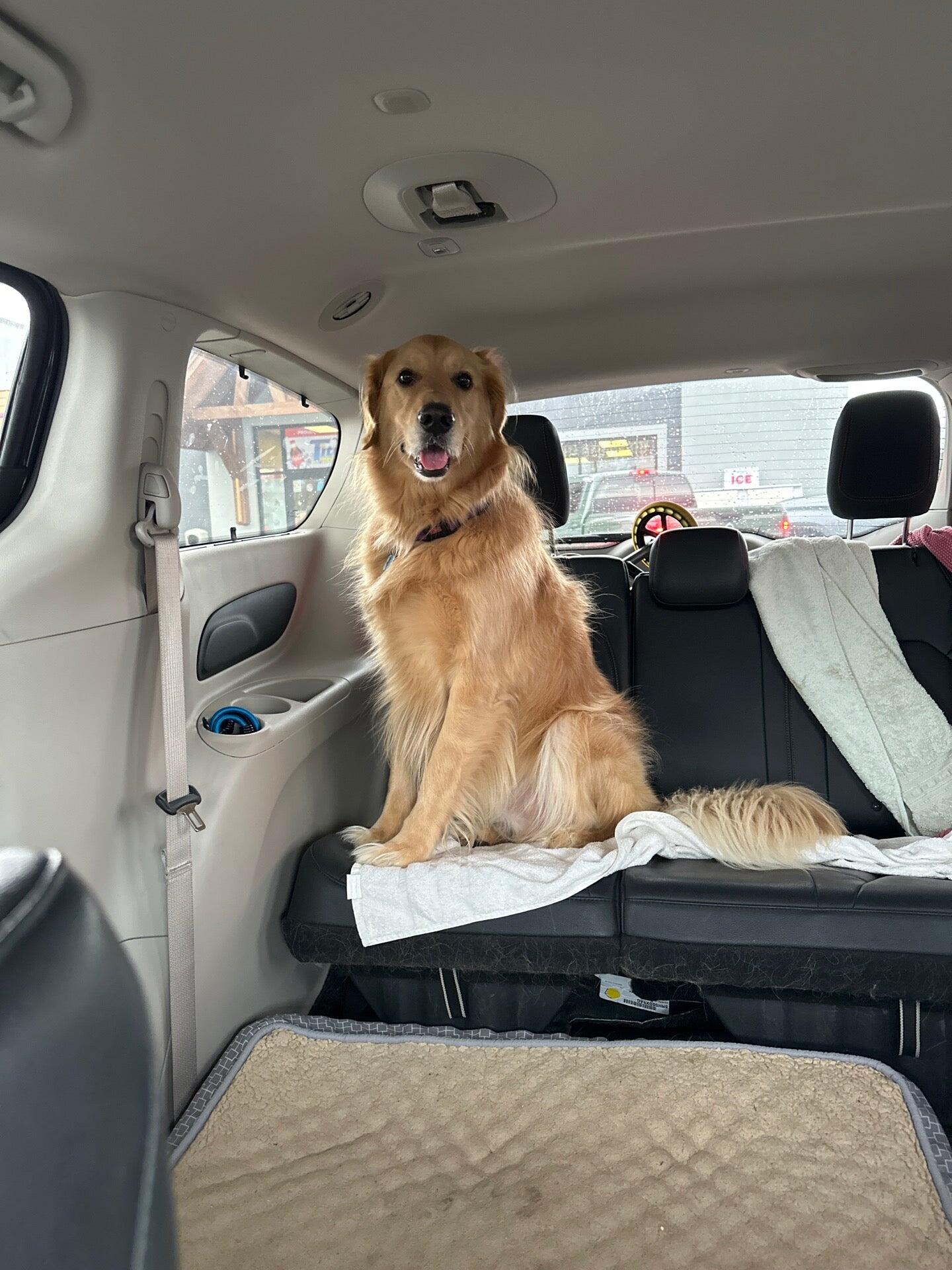 Photo credit: nextdoor