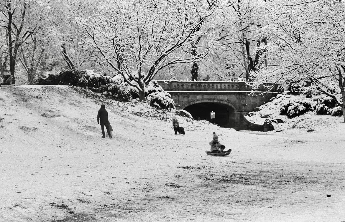 Kookaburra Coffee Co. Malverne