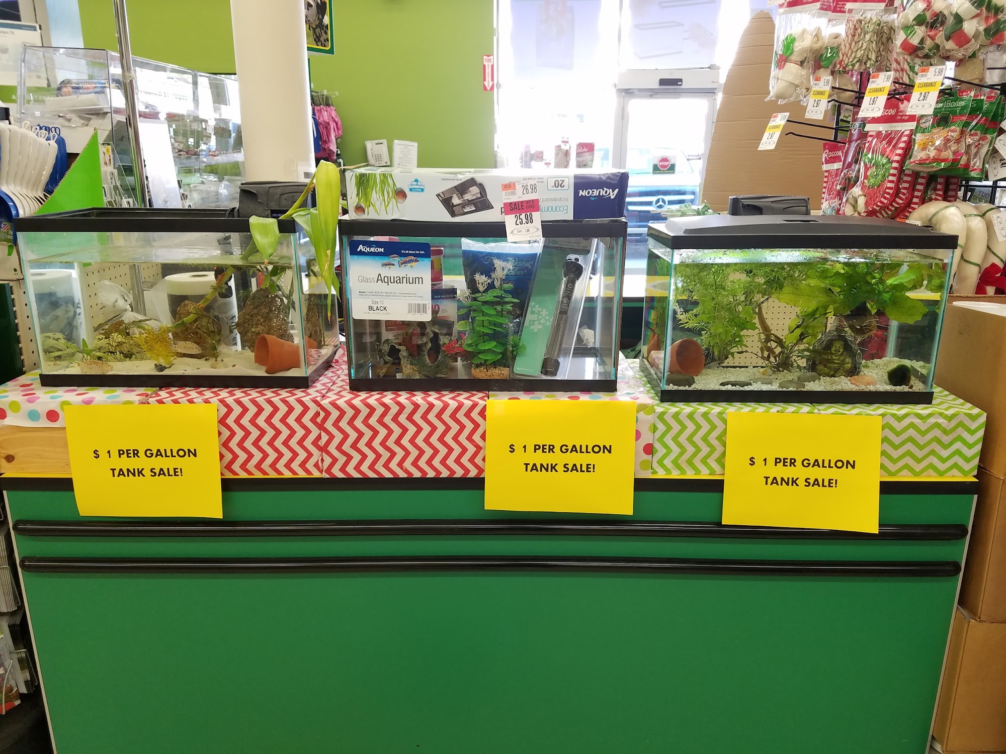 Pet Supplies Plus Manhasset Manhasset