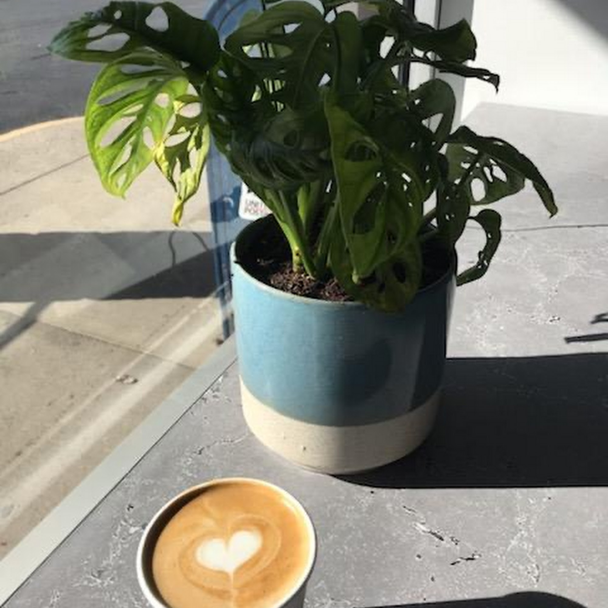 SkyTop Coffee Manlius