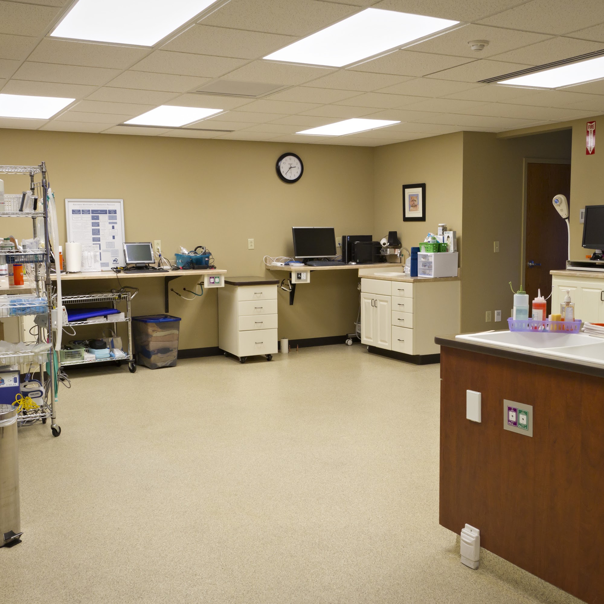 Compassionate Care Veterinary Hospital of Manlius, P.C. Manlius