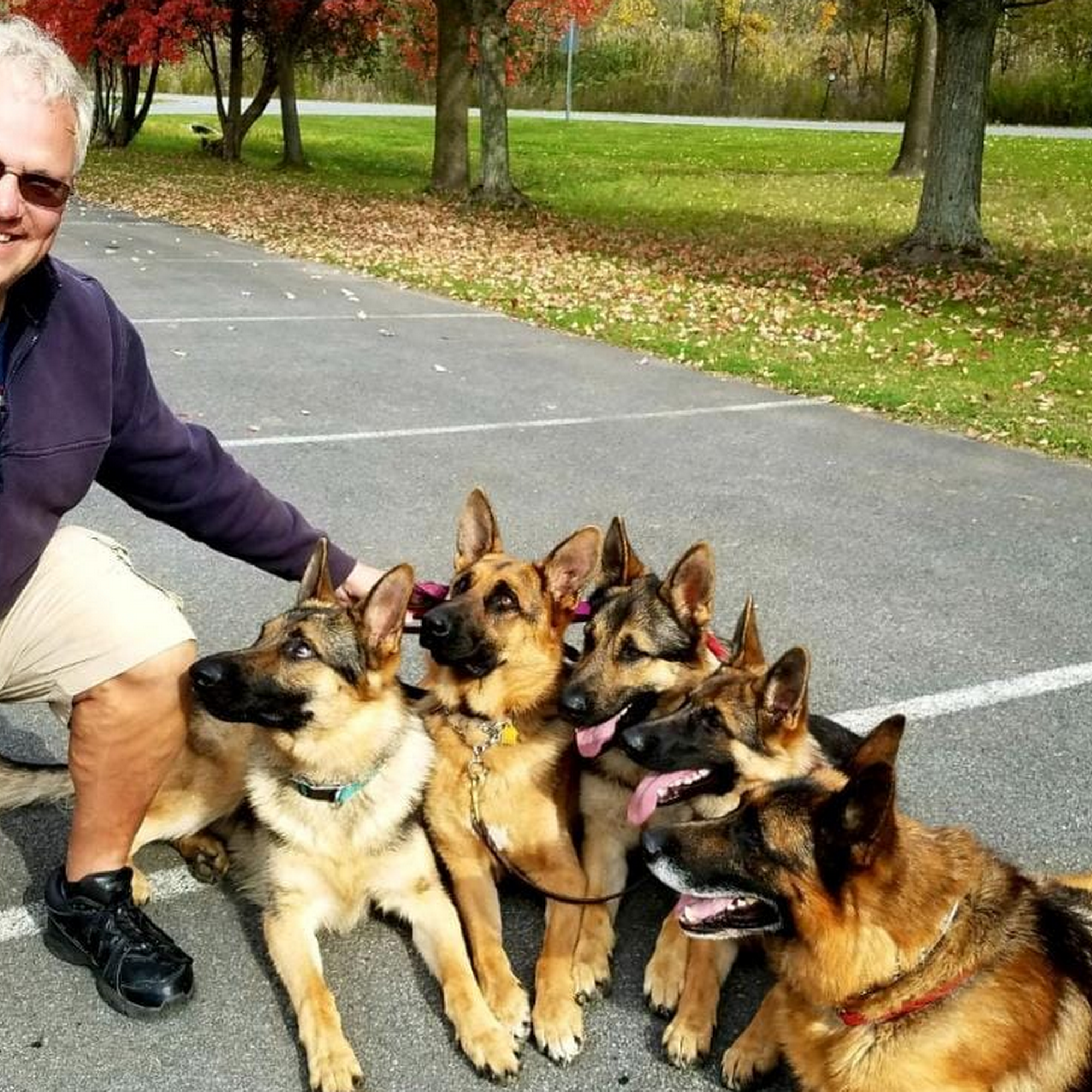 Winschelhaus Dog Training, LLC Manlius