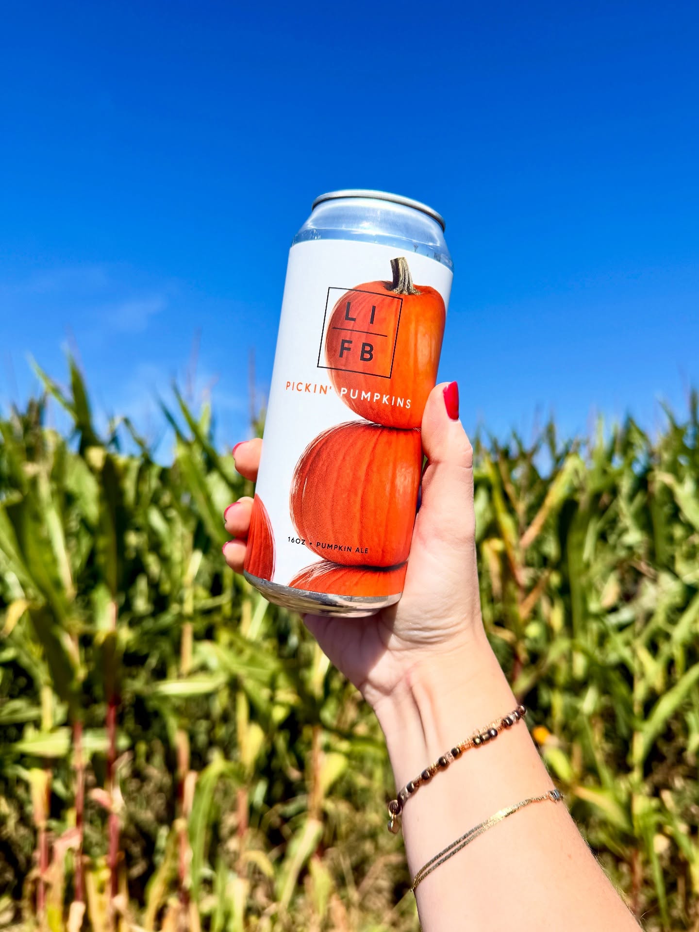 Long Island Farm Brewery Manorville