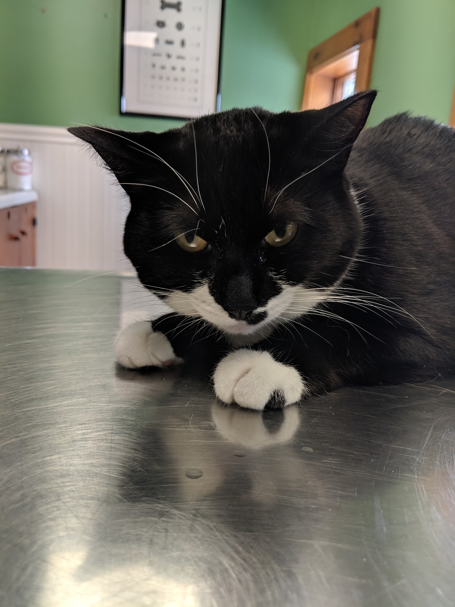 Lake Country Veterinary Care Marcellus