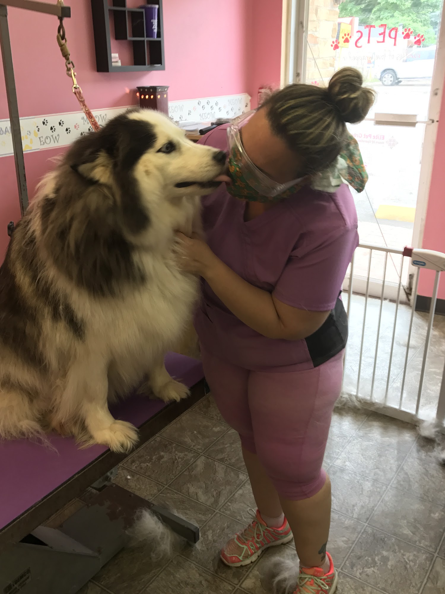 Elite Pet Grooming Mastic