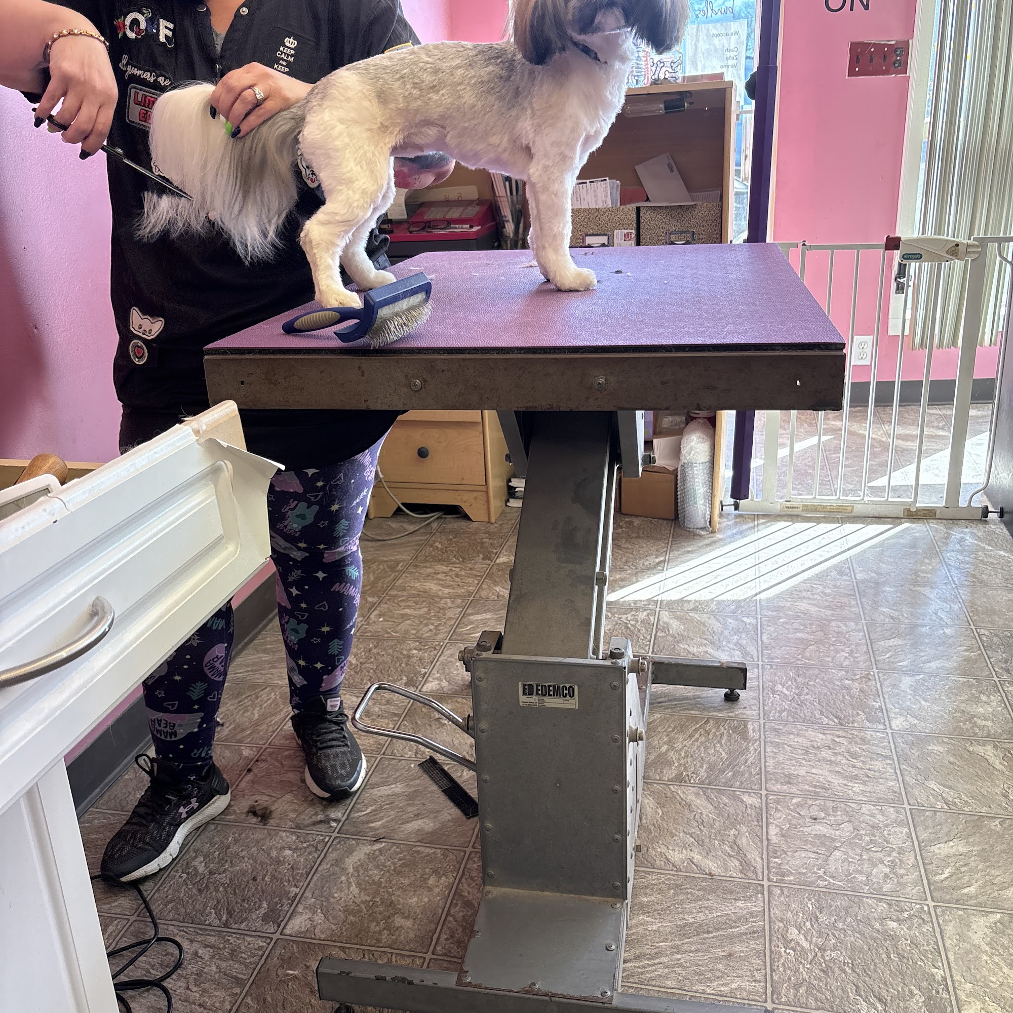 Elite Pet Grooming Mastic